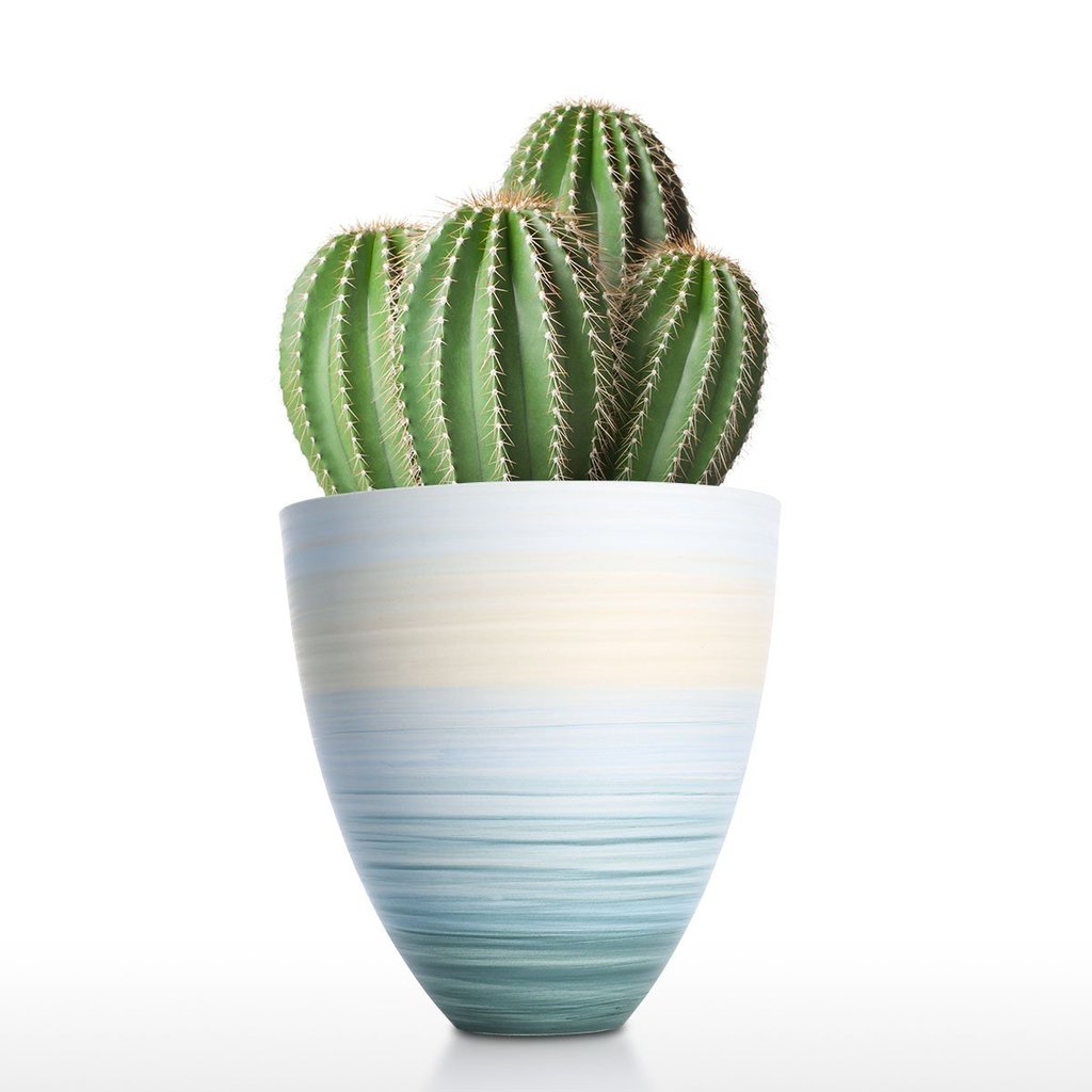 Blumentopf und Blumenvase mit Keramik Porzellan