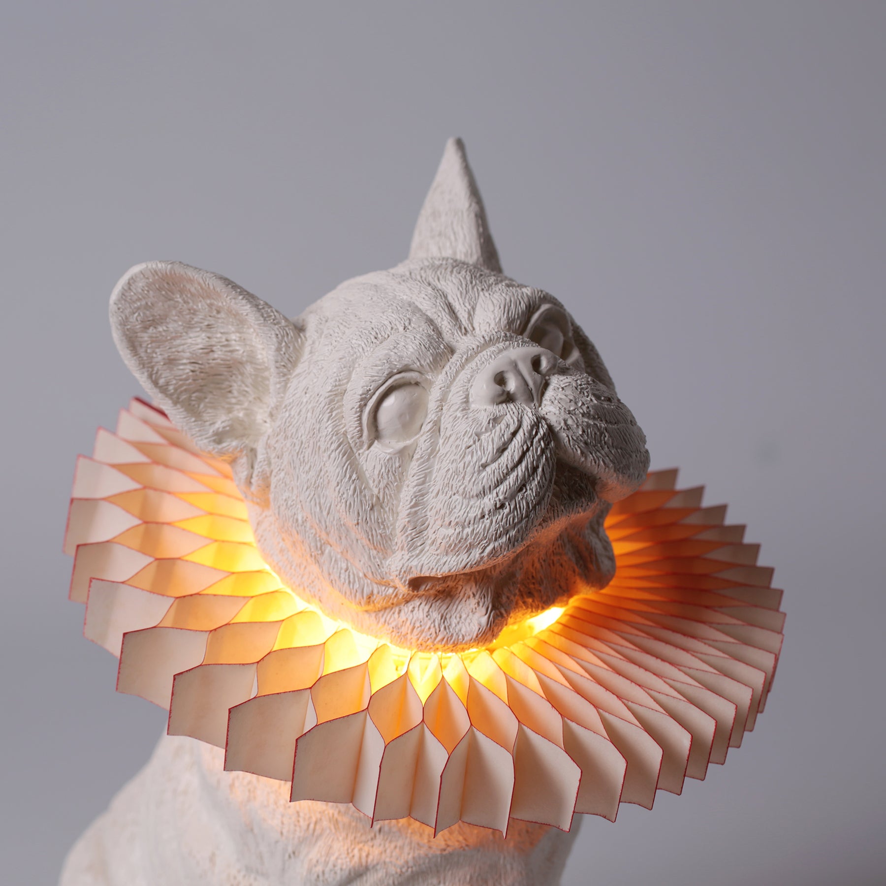 Now, Christmas decorations is unique with bulldog lamp & sculpture!