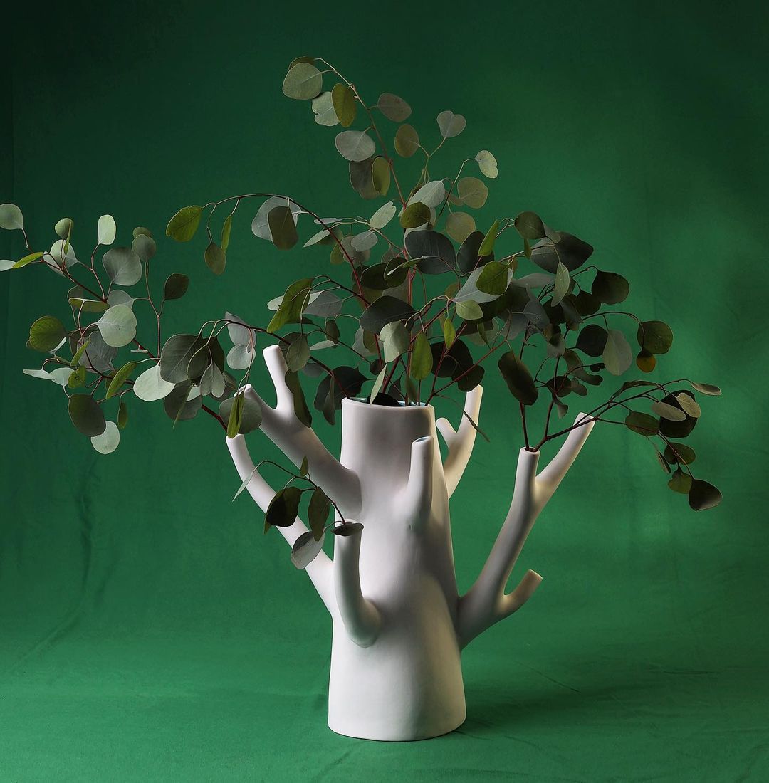 Ceramic vase welcomes unique flower arrangements like as florist