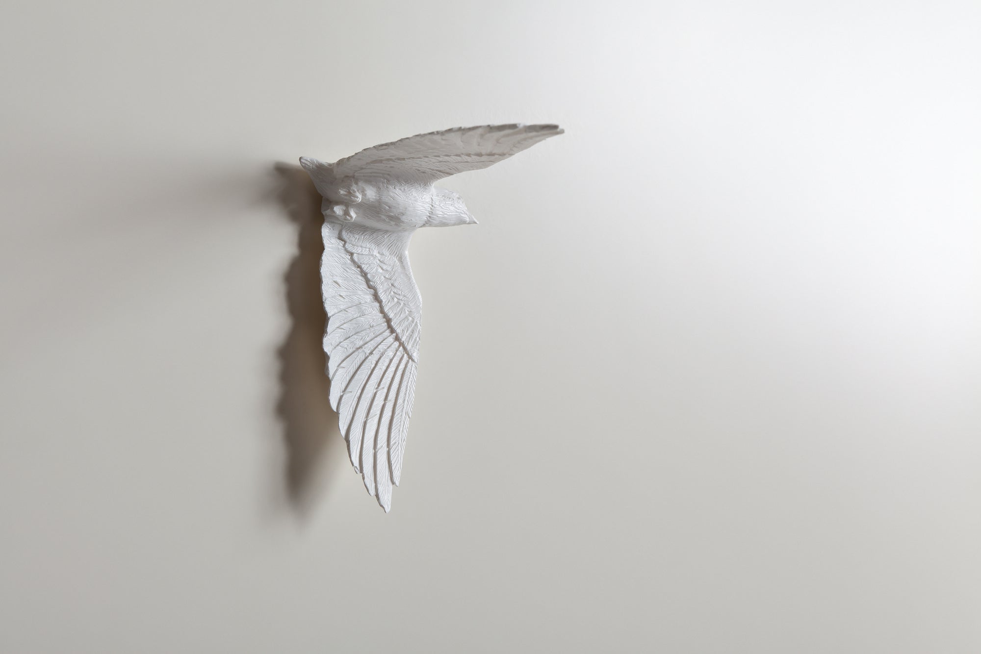 Wall clock is the unique gift for bird lovers & nature enthusiast