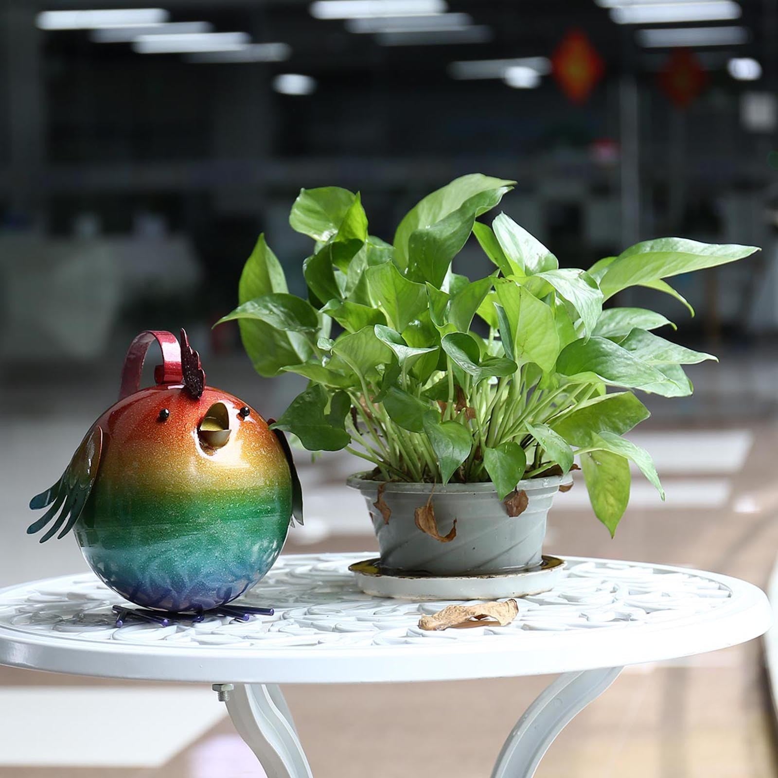 A watering pot is a must-have for any indoor or outdoor garden decor