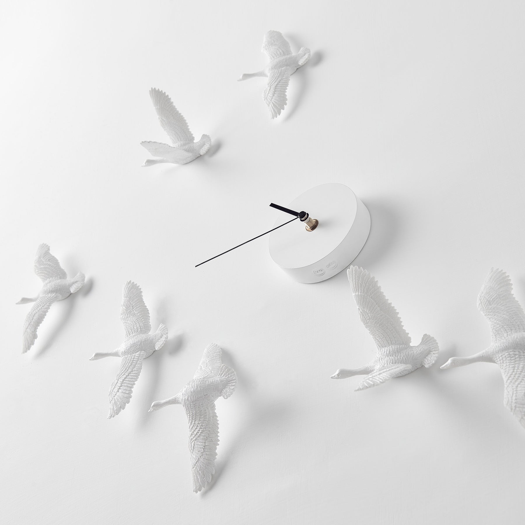 Bird Wall Clock It in the sky and home literally represent freedom