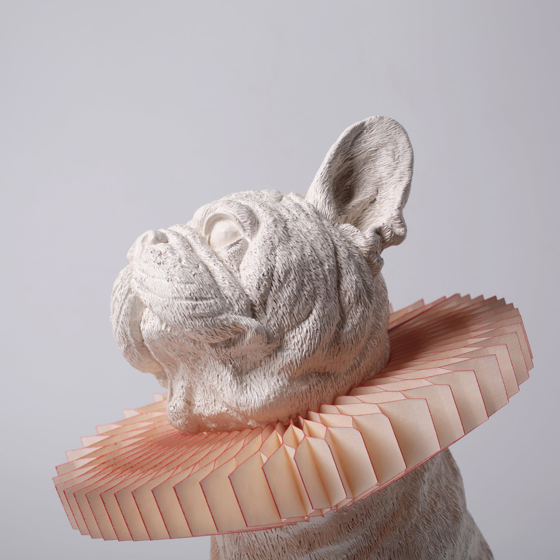 Bulldog Lamp for Night and Daydreams
