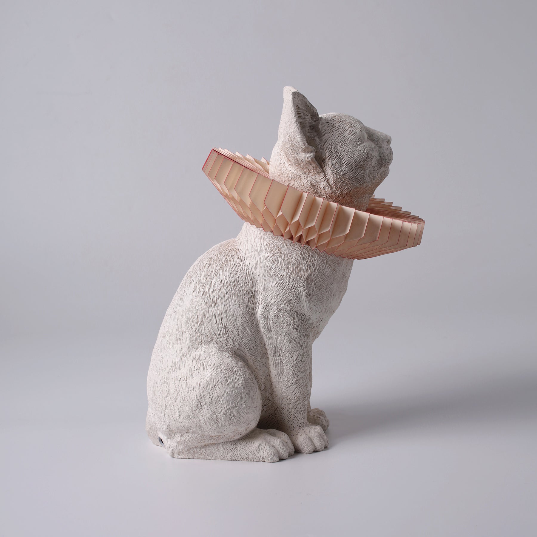 Cat Lamp for Night and Daydreams