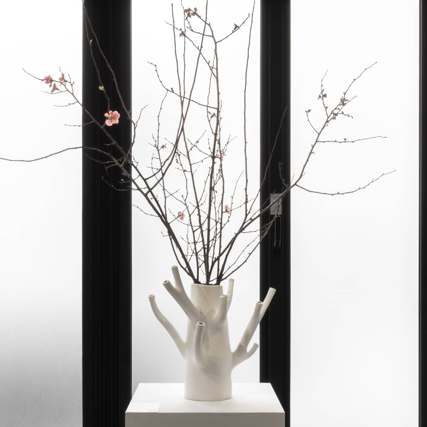 Ceramic vase welcomes unique flower arrangements like as florist