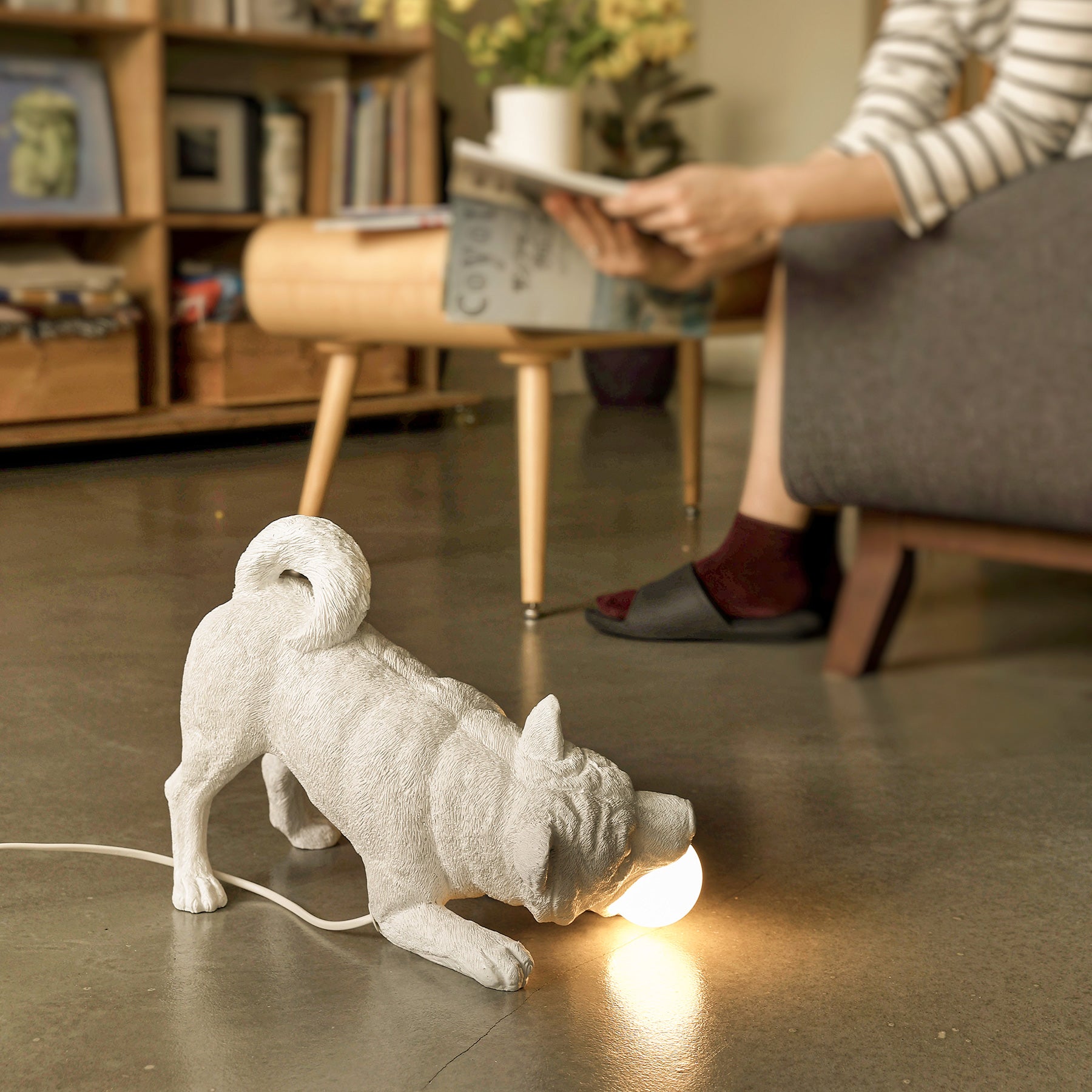 Dog lamp and it's statue: I need some play and you need some light!