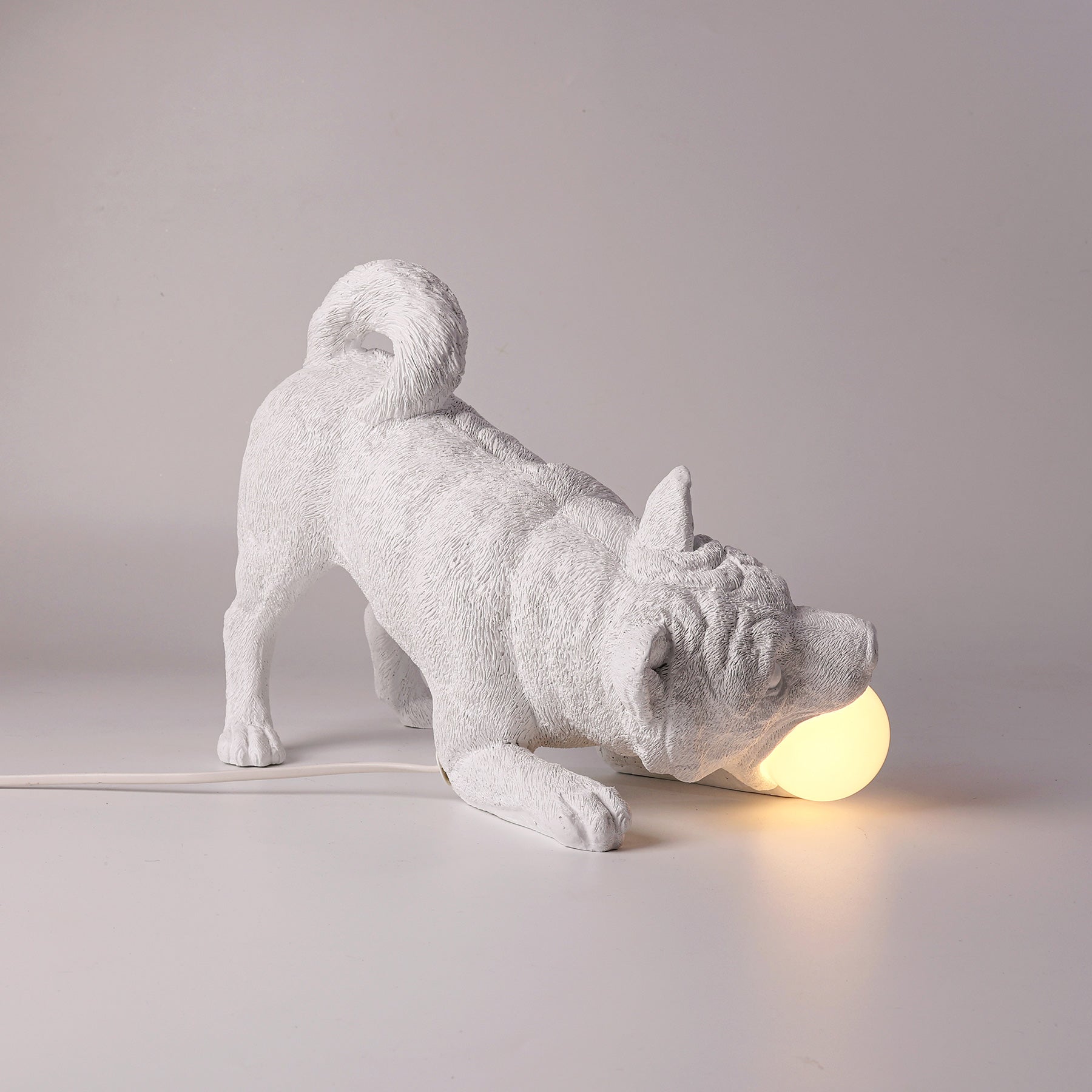 Dog lamp and it's statue: I need some play and you need some light!