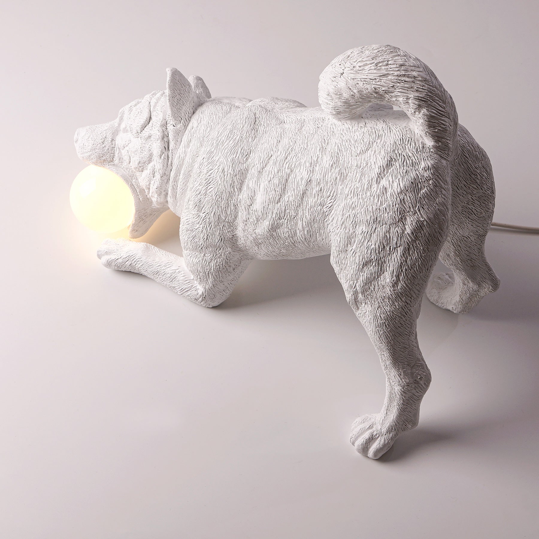 Dog lamp and it's statue: I need some play and you need some light!