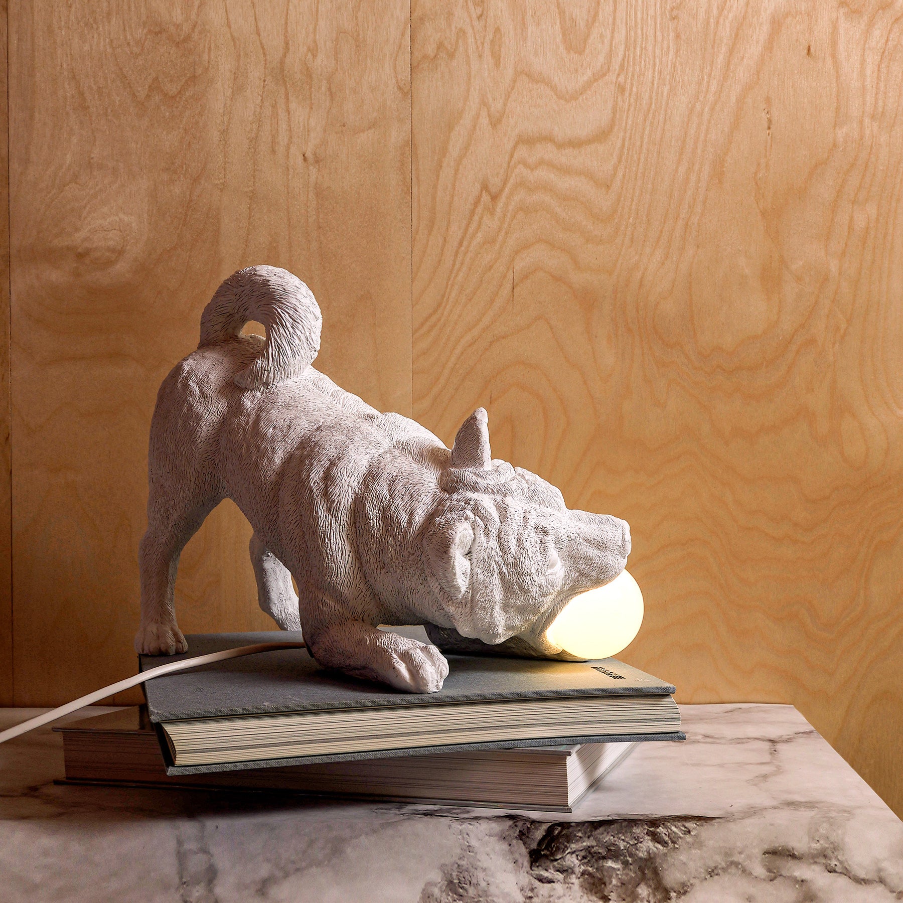 Dog lamp and it's statue: I need some play and you need some light!