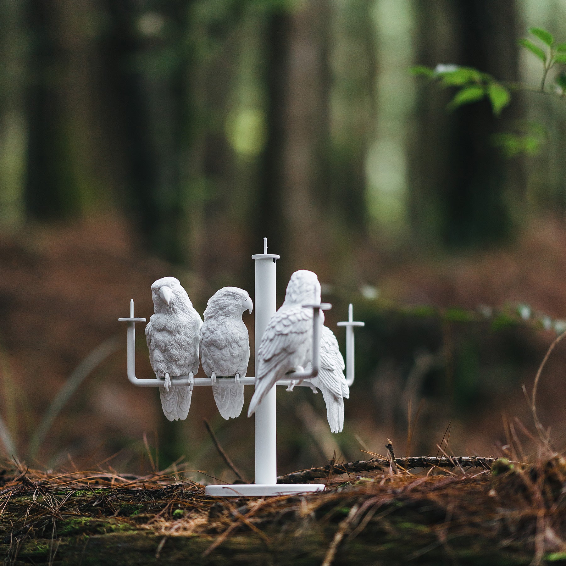 Four parrot candleholder is ready to fly for ambiance and mood