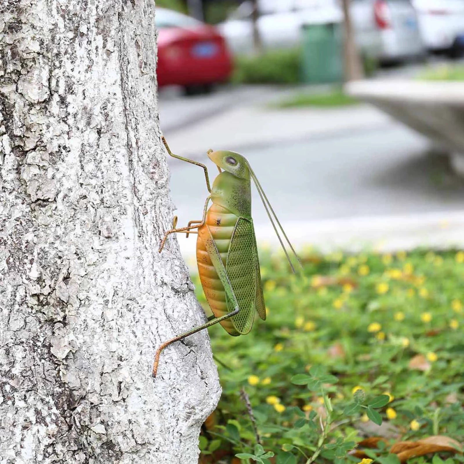 Grasshopper Figurines and Ornament in Home, Balcony, Garden