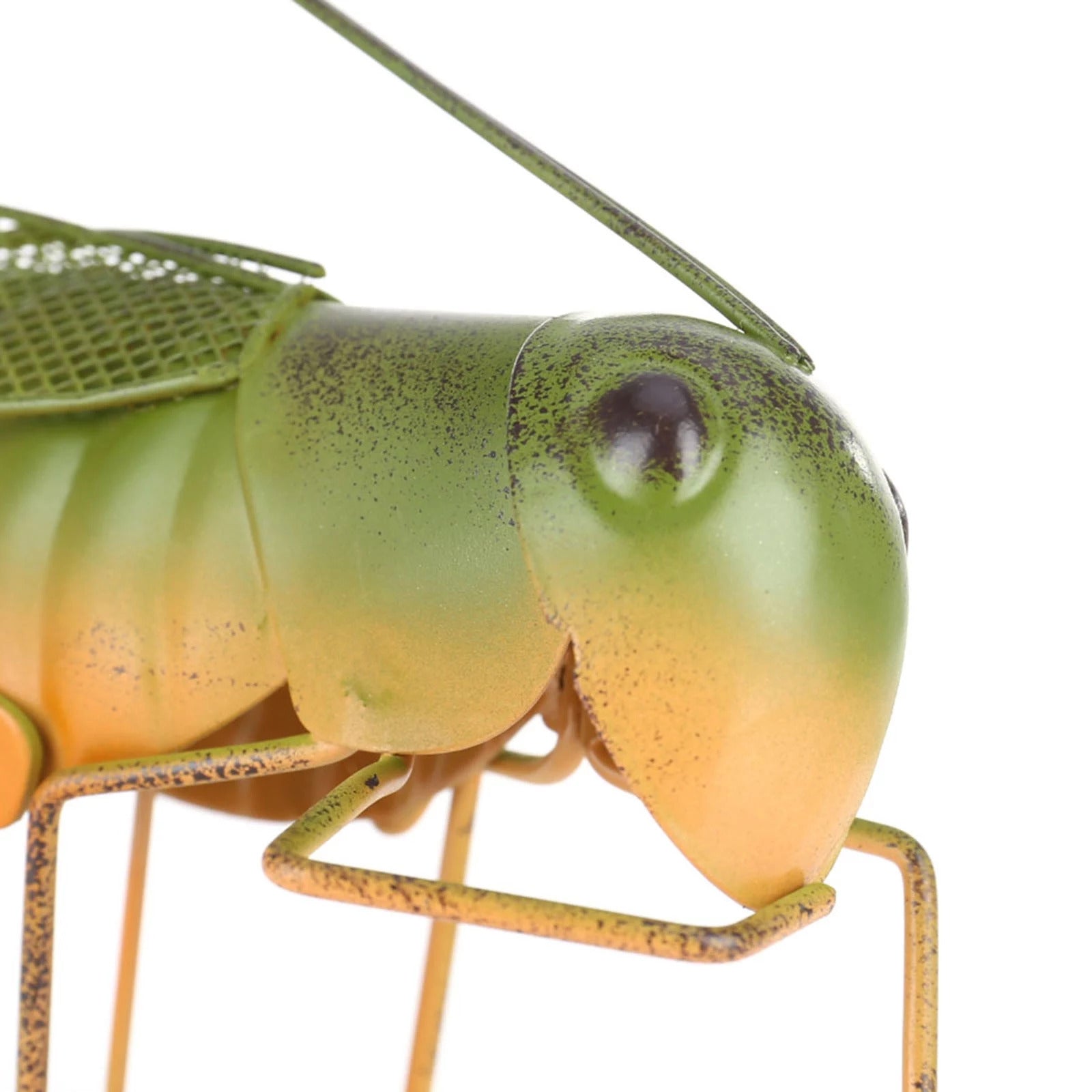 Grasshopper Figurines and Ornament in Home, Balcony, Garden