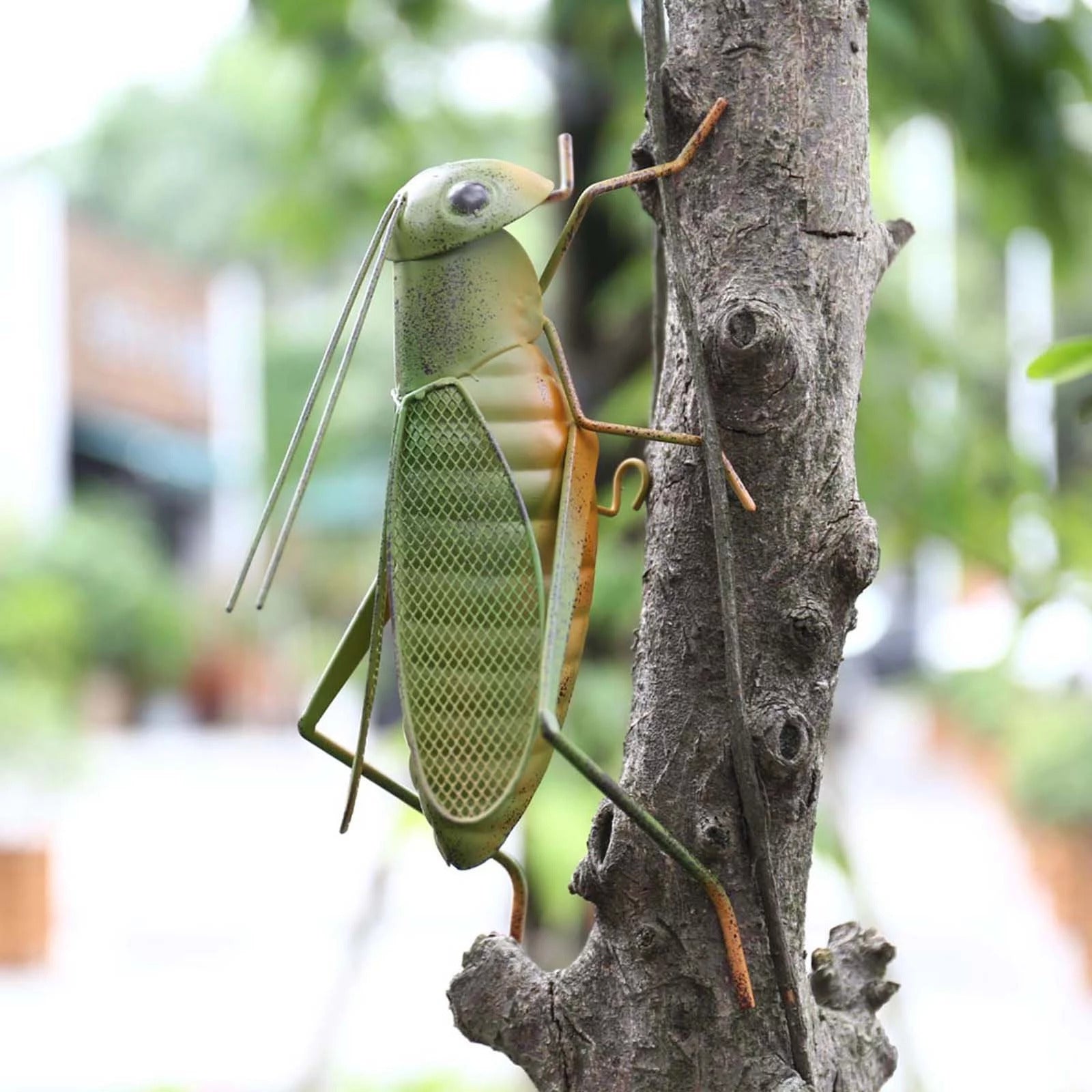 Grasshopper Figurines and Ornament in Home, Balcony, Garden