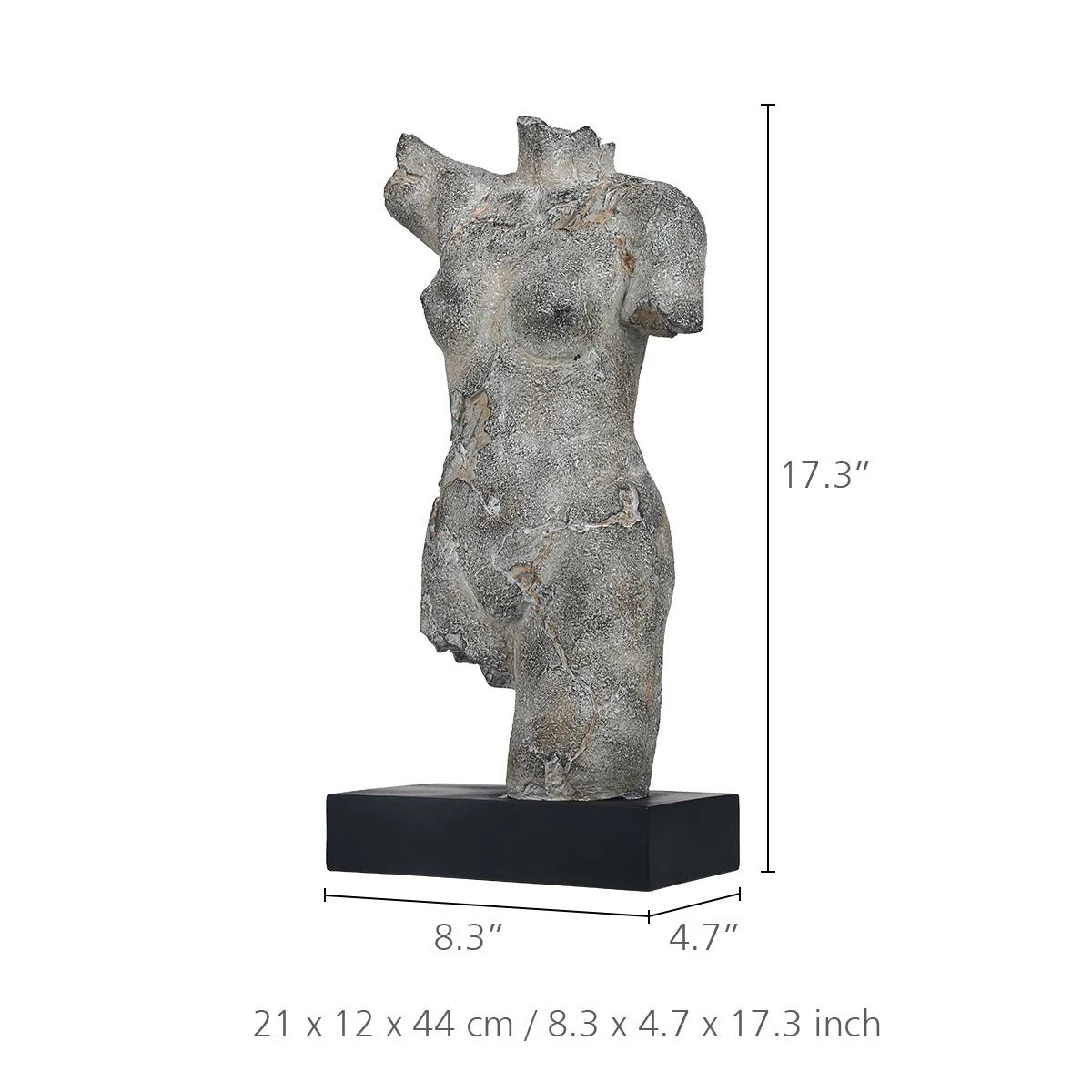 Greek Bust and Sculpture Female Body
