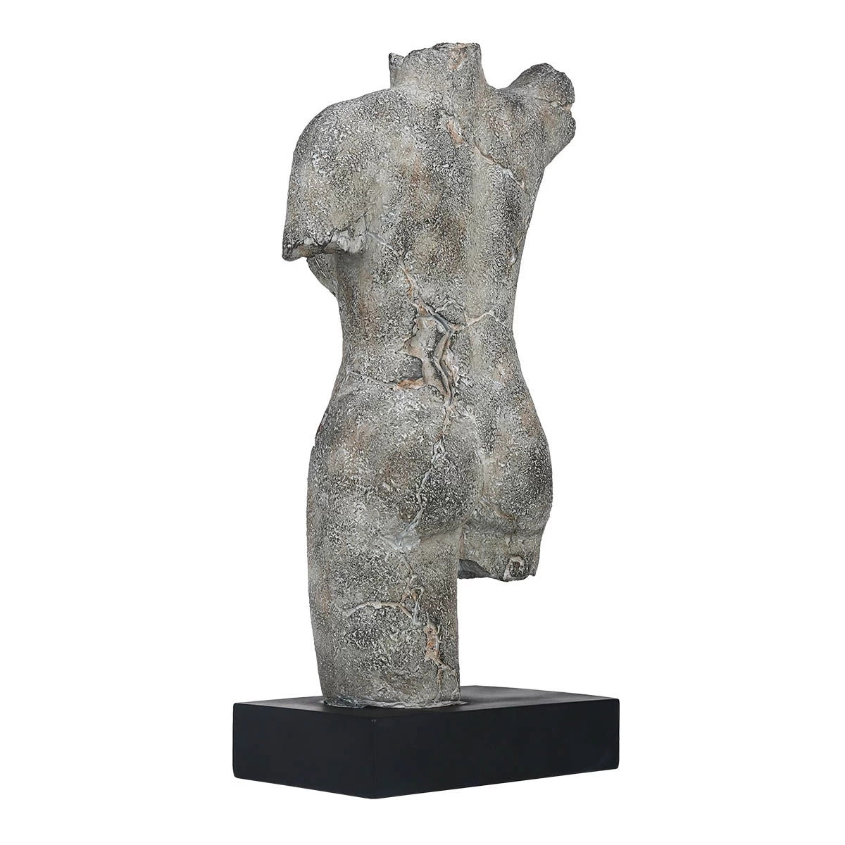Greek Bust and Sculpture Female Body