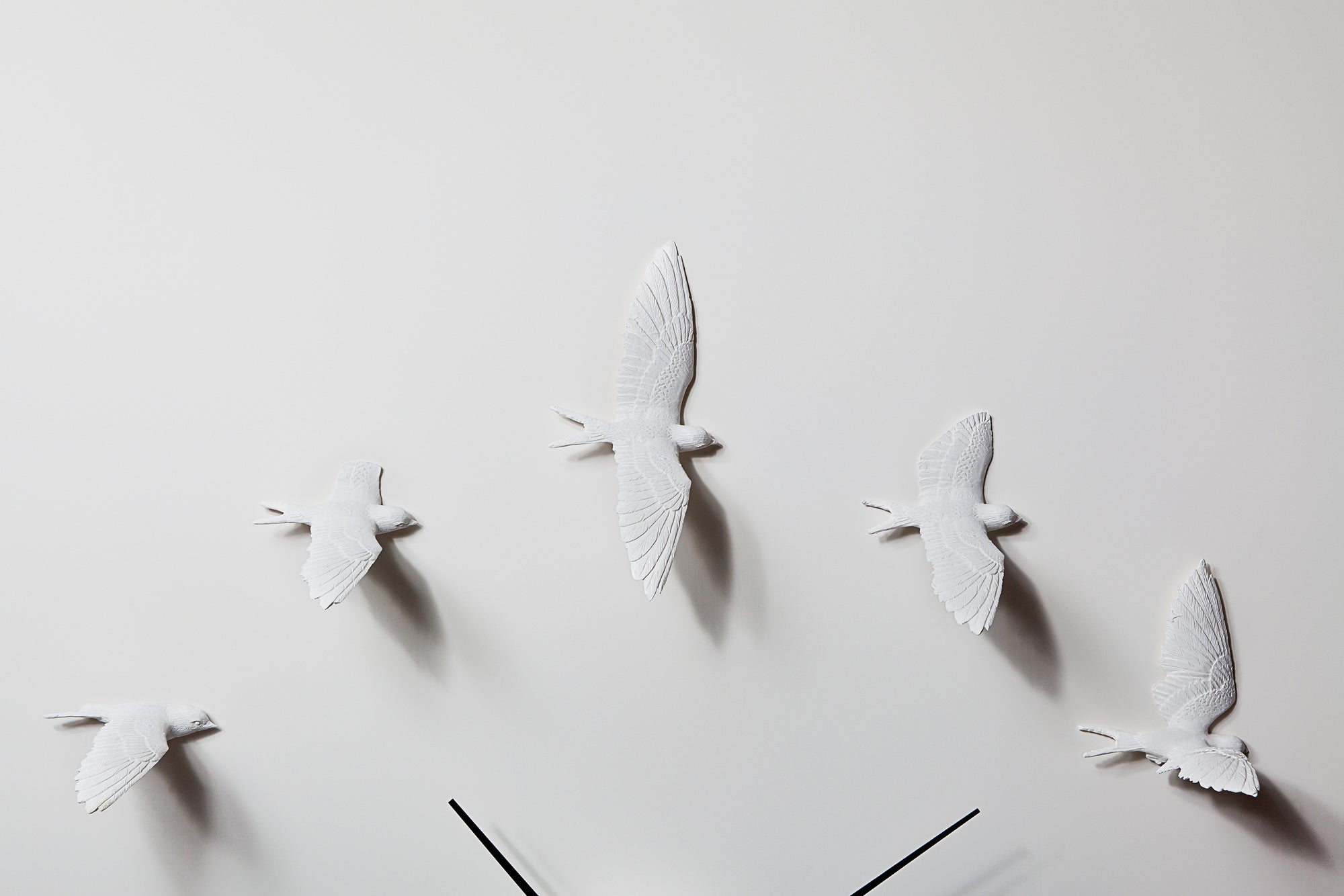 Wall clock is the unique gift for bird lovers & nature enthusiast