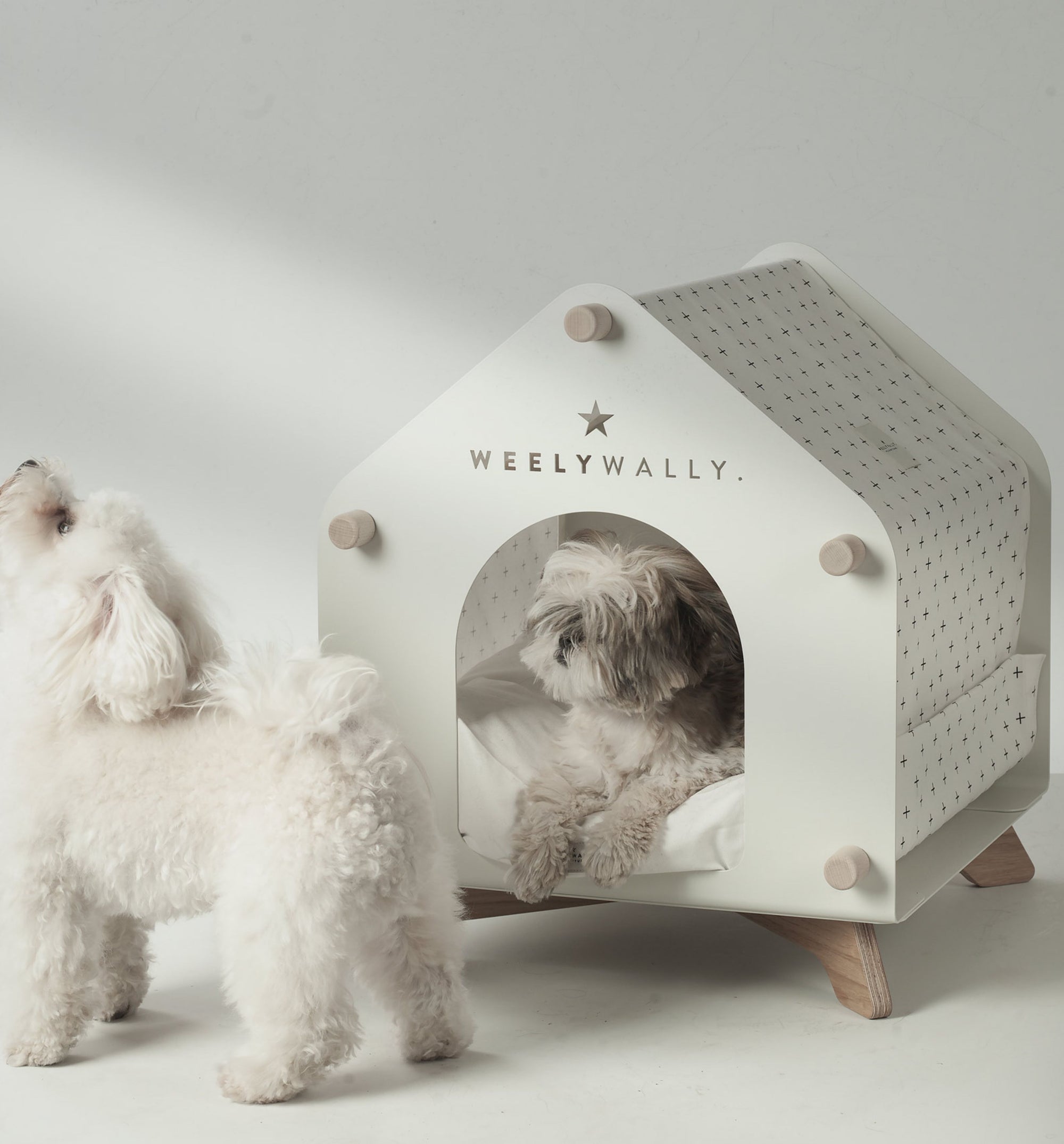 Every pet deserves the best - house & bed for your cat's or dog's!