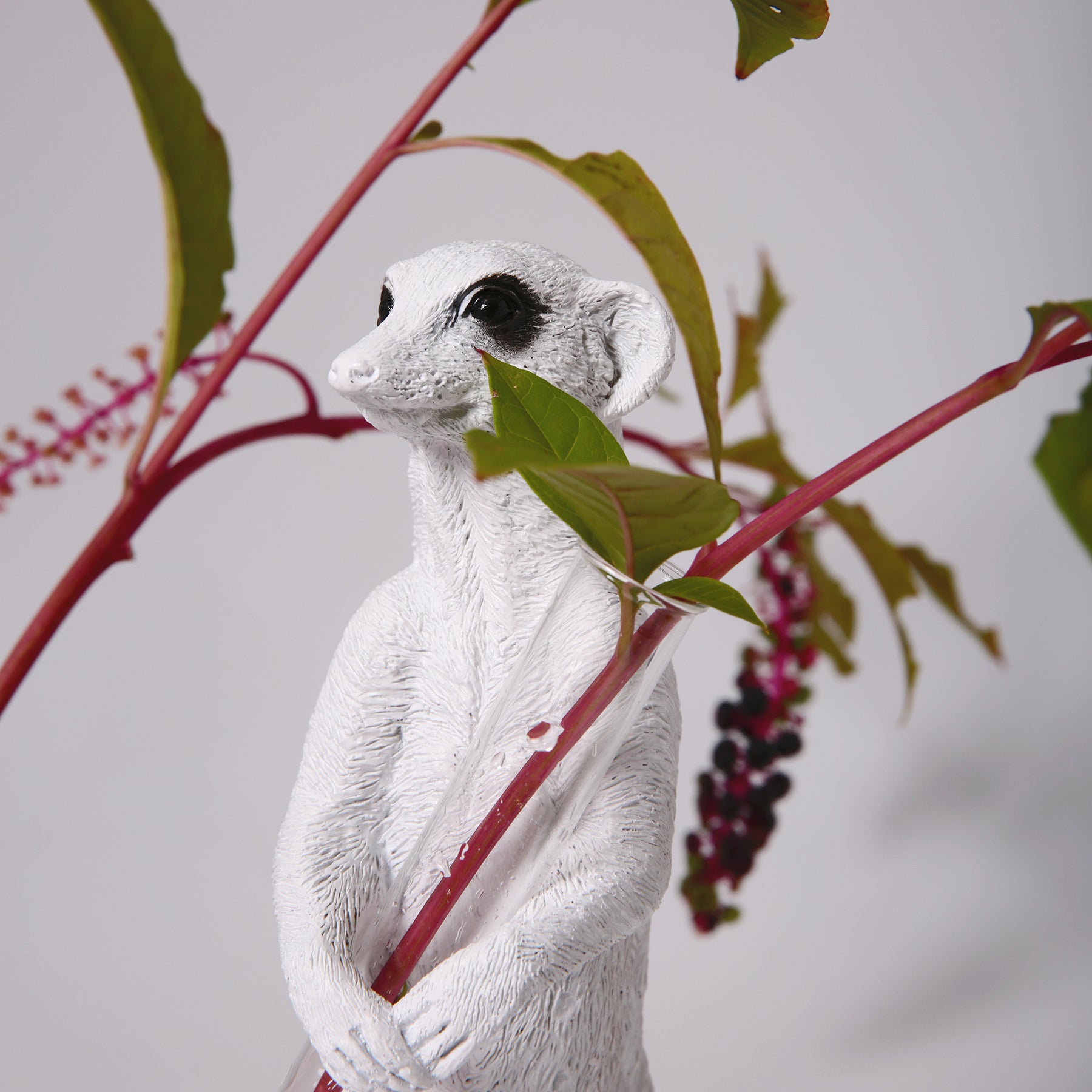 Single Stem Vase with Meerkat Ornament and Decorative Statue