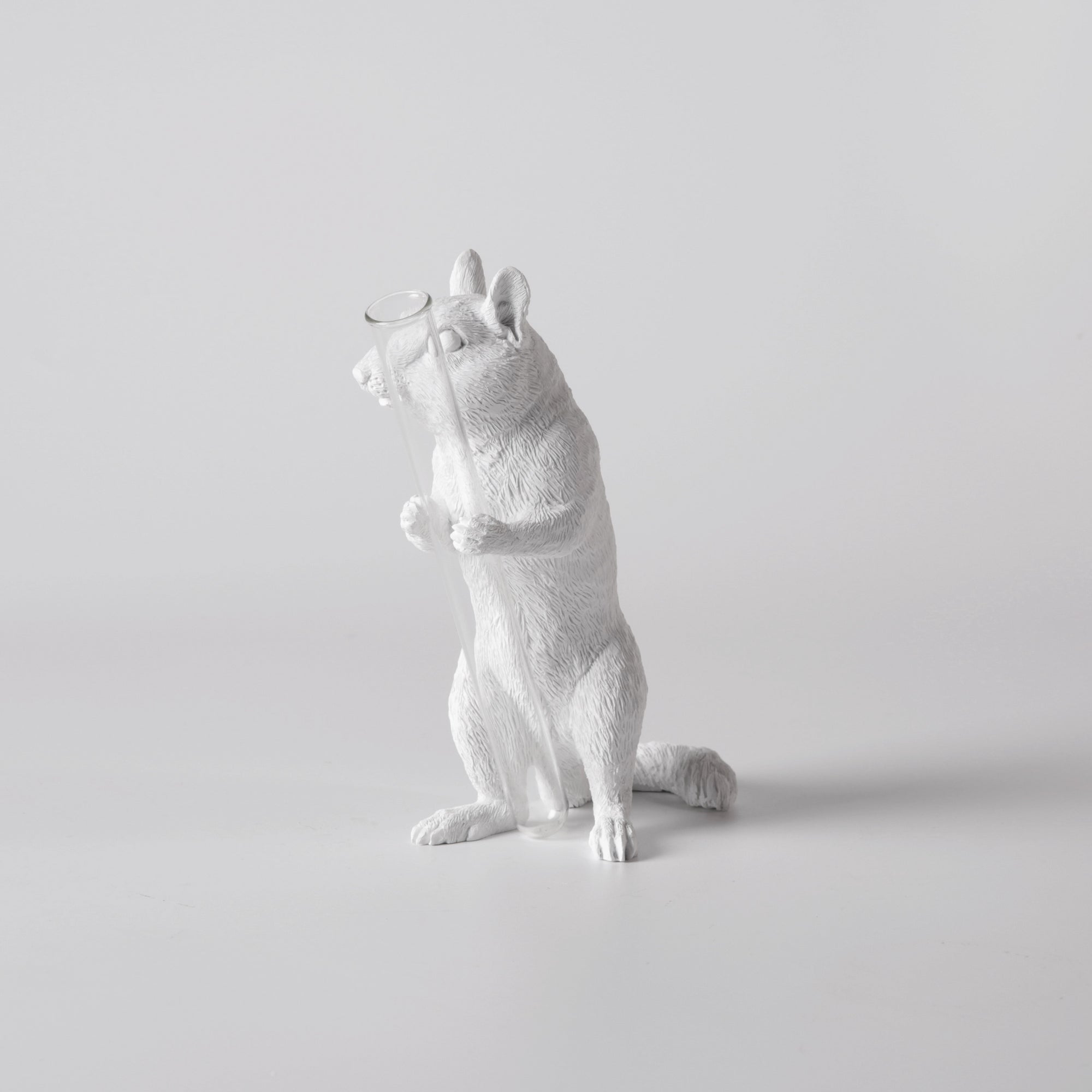 White Vase Series to Flowers and Diffuser Reeds with Squirrel Statue