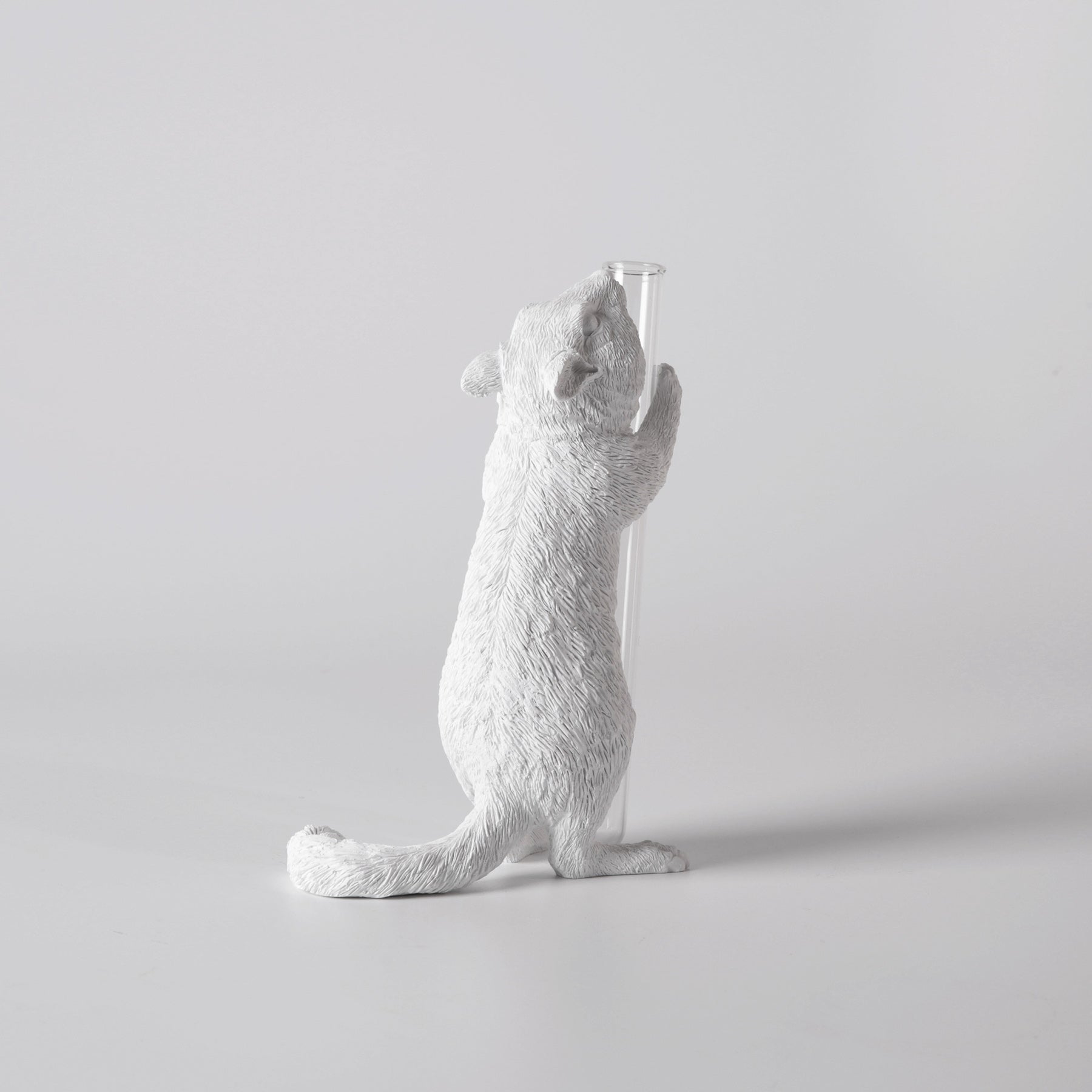 White Vase Series to Flowers and Diffuser Reeds with Squirrel Statue