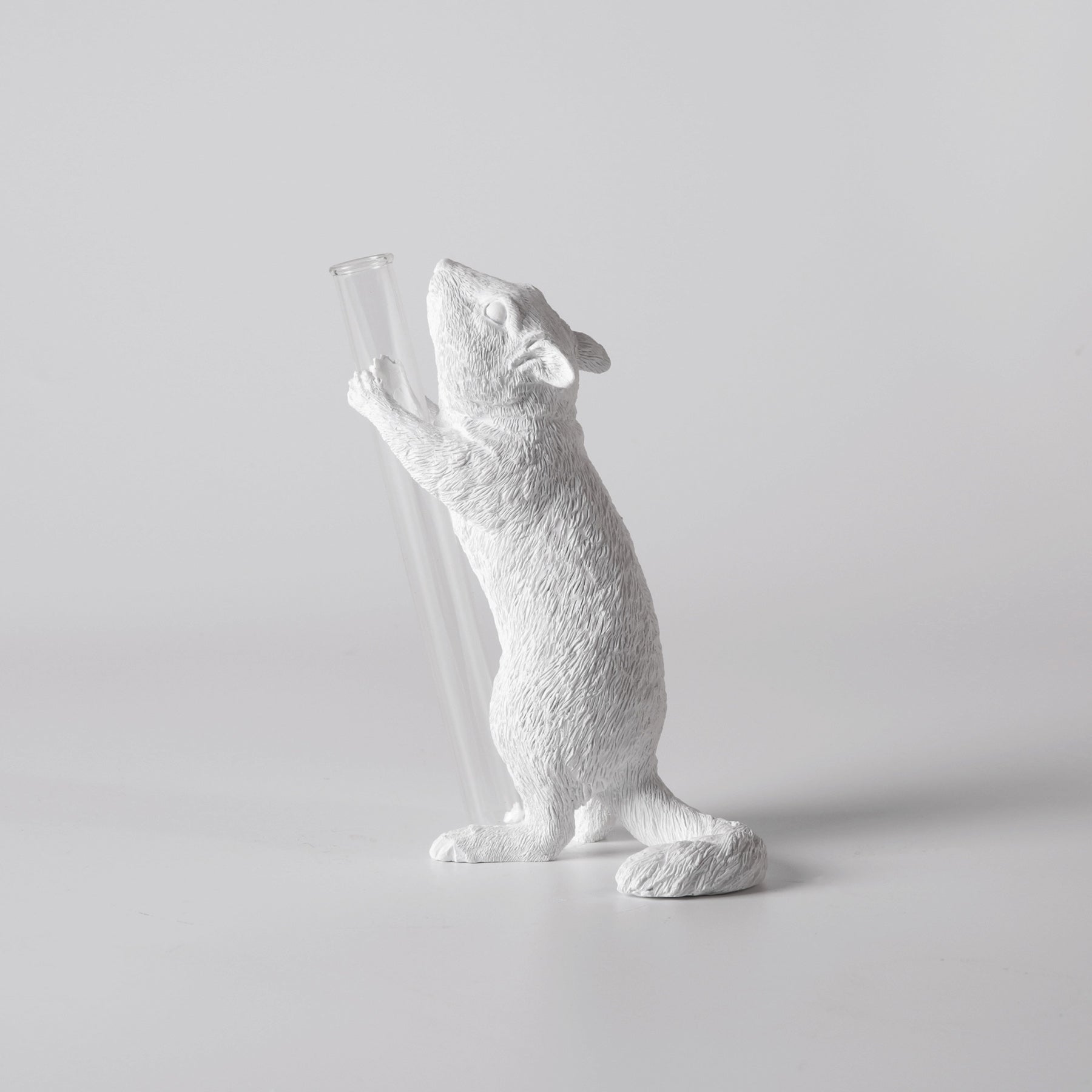 White Vase Series to Flowers and Diffuser Reeds with Squirrel Statue