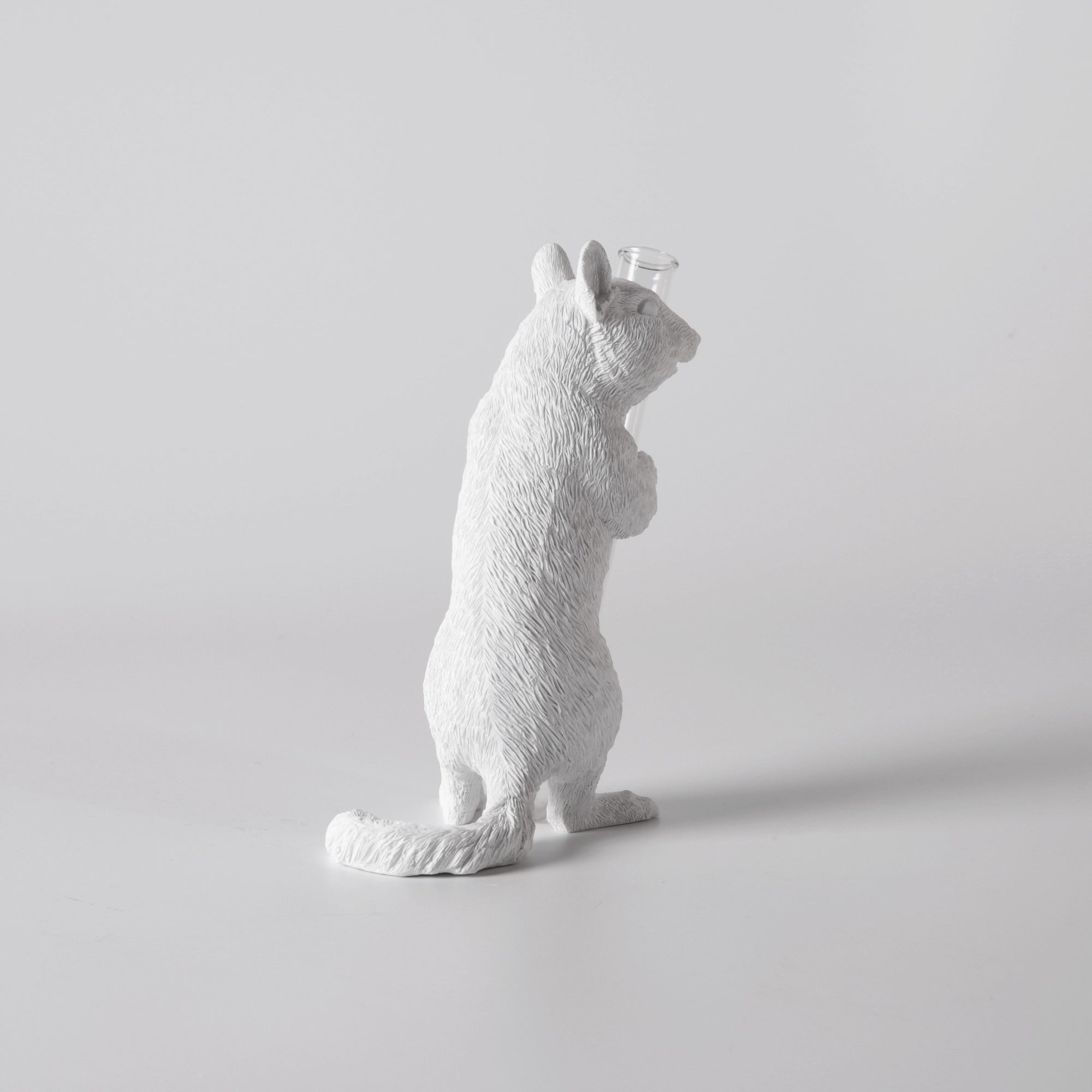 White Vase Series to Flowers and Diffuser Reeds with Squirrel Statue