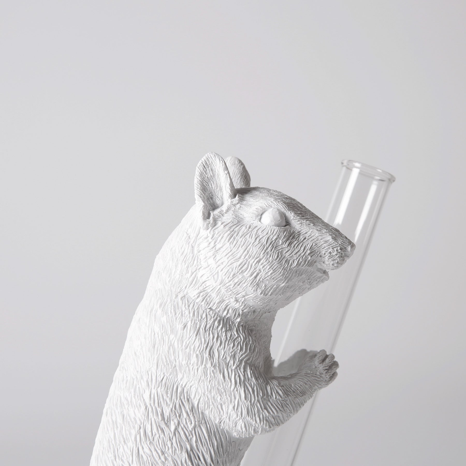 White Vase Series to Flowers and Diffuser Reeds with Squirrel Statue