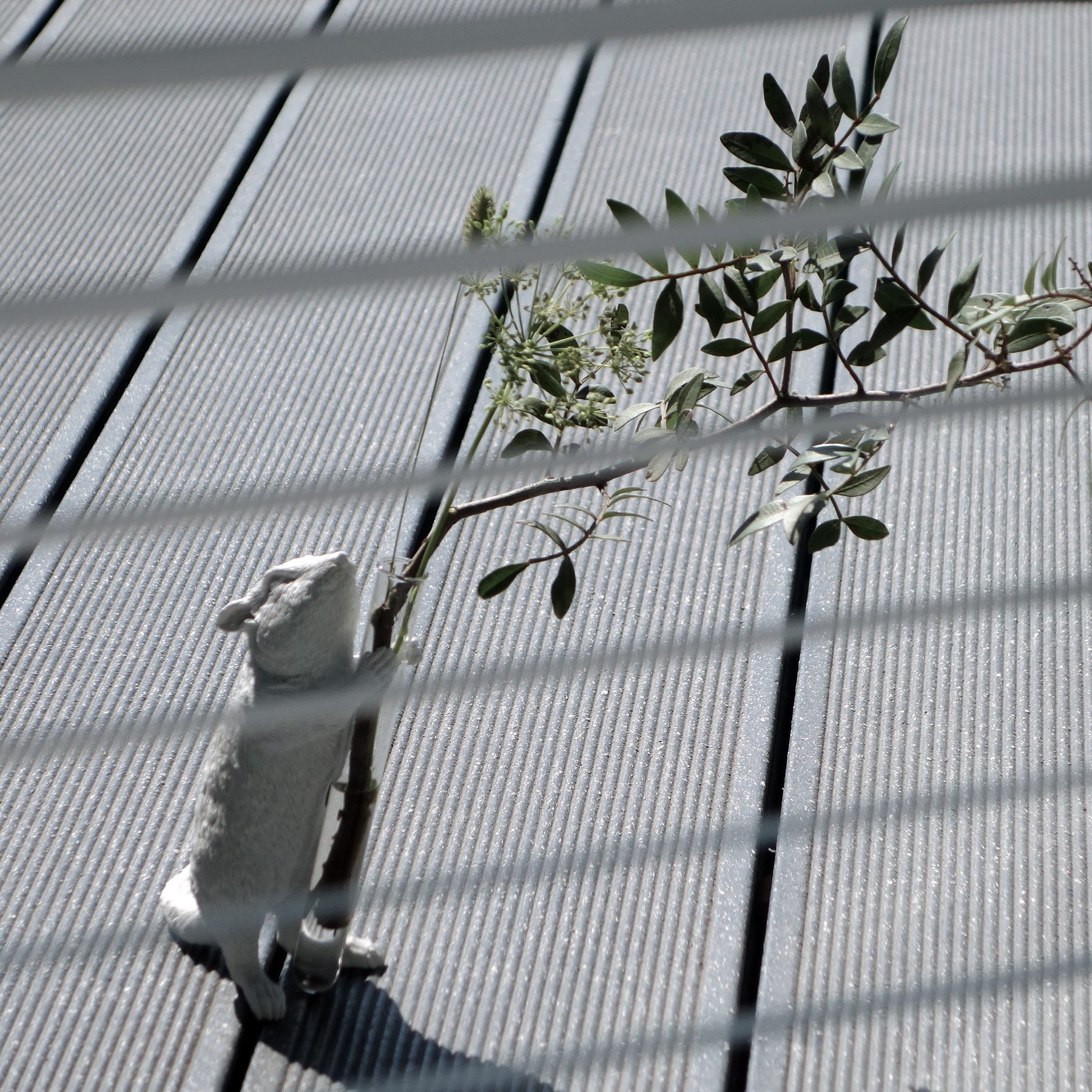 White Vase Series to Flowers and Diffuser Reeds with Squirrel Statue