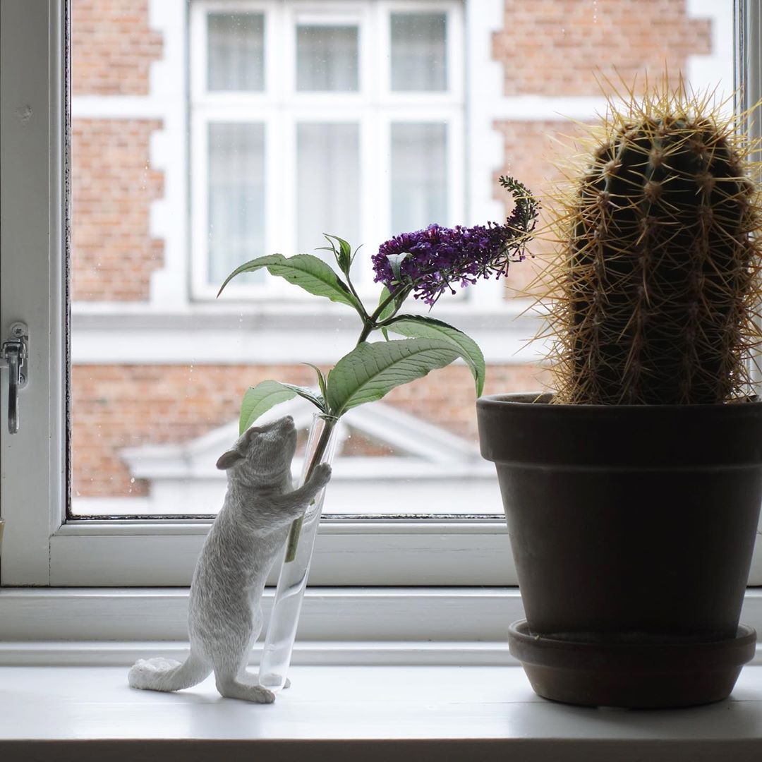 White Vase Series to Flowers and Diffuser Reeds with Squirrel Statue