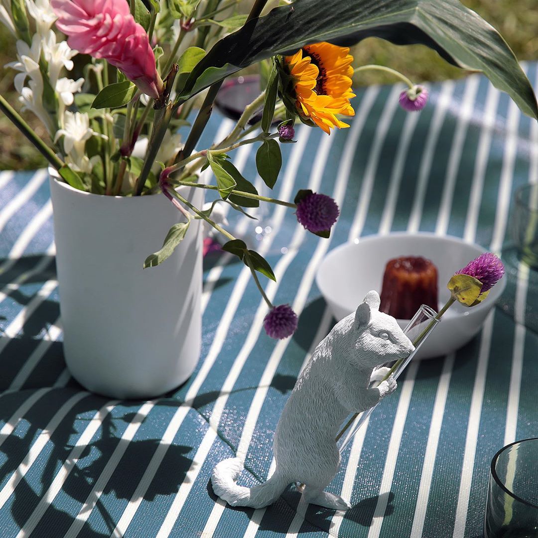 White Vase Series to Flowers and Diffuser Reeds with Squirrel Statue
