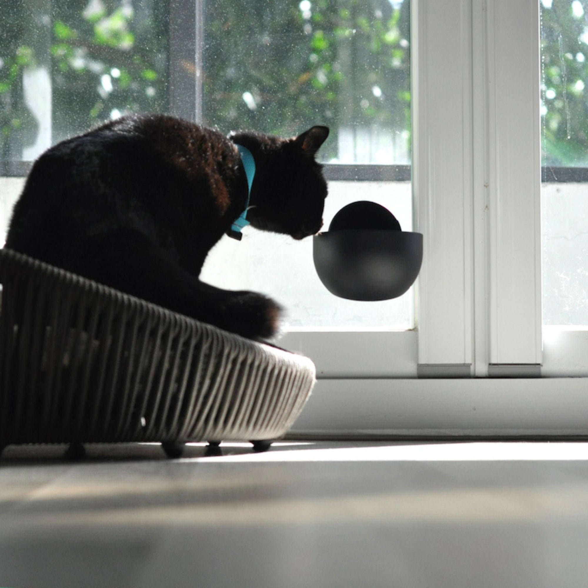 Your dog or cat will love the self-magnetic portable mobile pet bowl!