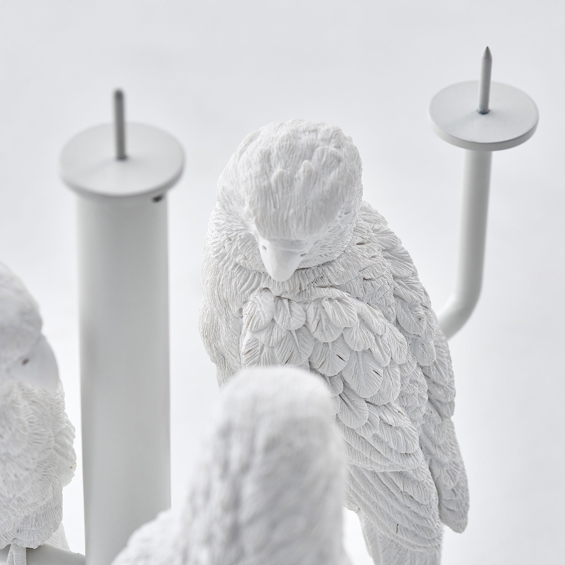 Four parrot candleholder is ready to fly for ambiance and mood