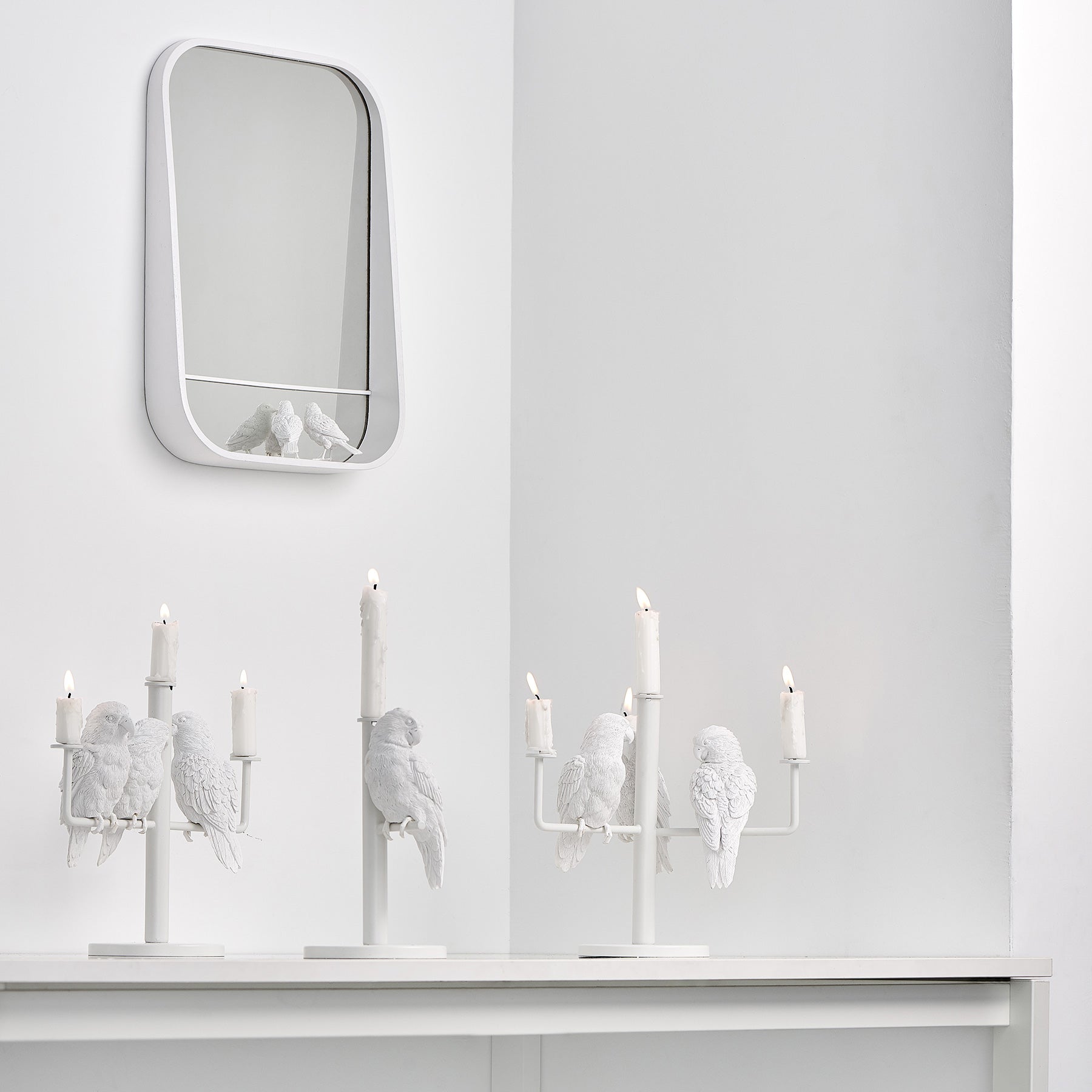 Get cozy with our parrot single candleholder in day and night