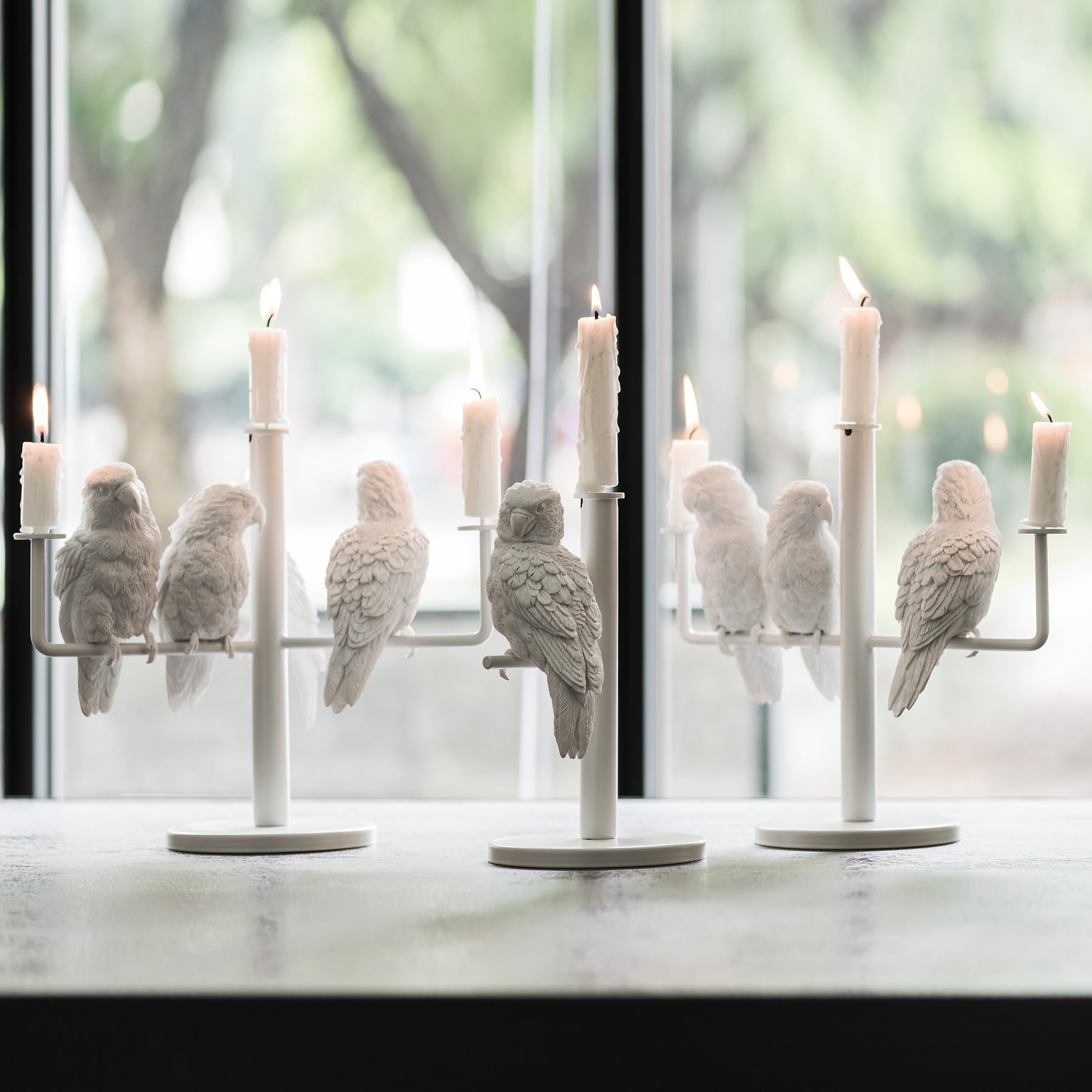 Get cozy with our parrot single candleholder in day and night