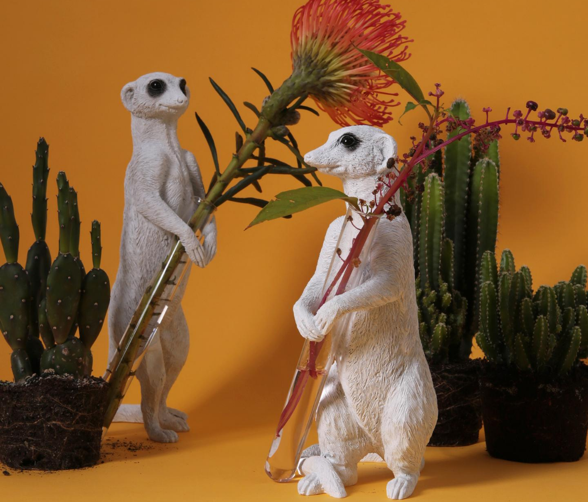 What should you take as meerkat ornaments for the garden? - Here It is