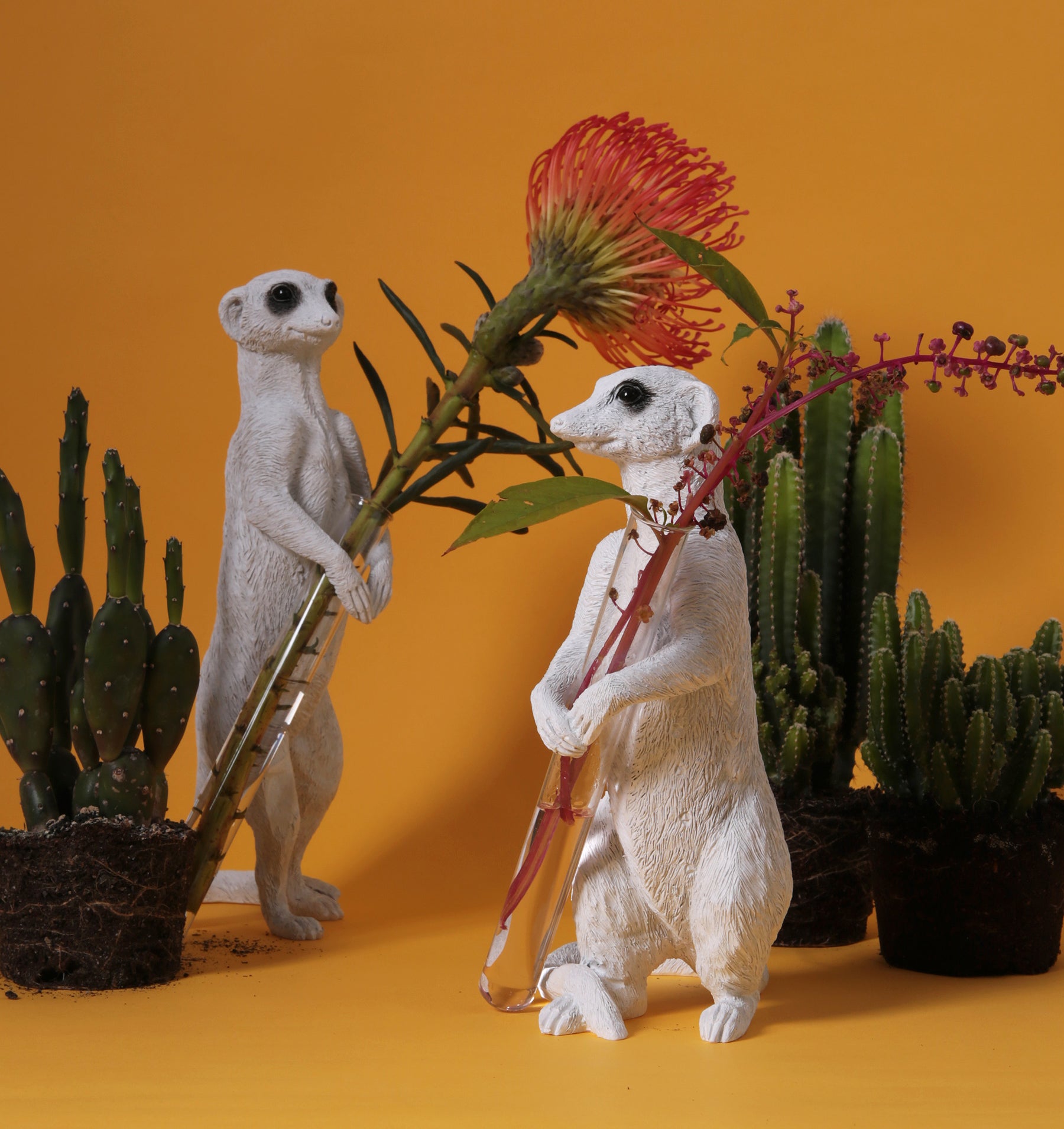 Celebrate the Christmas with Meerkats ornament & figurines!
