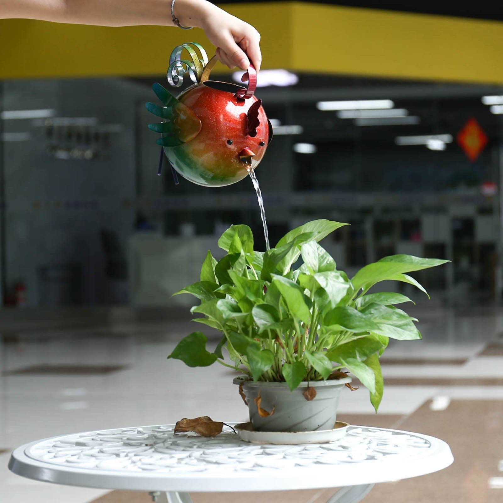 A watering pot is a must-have for any indoor or outdoor garden decor
