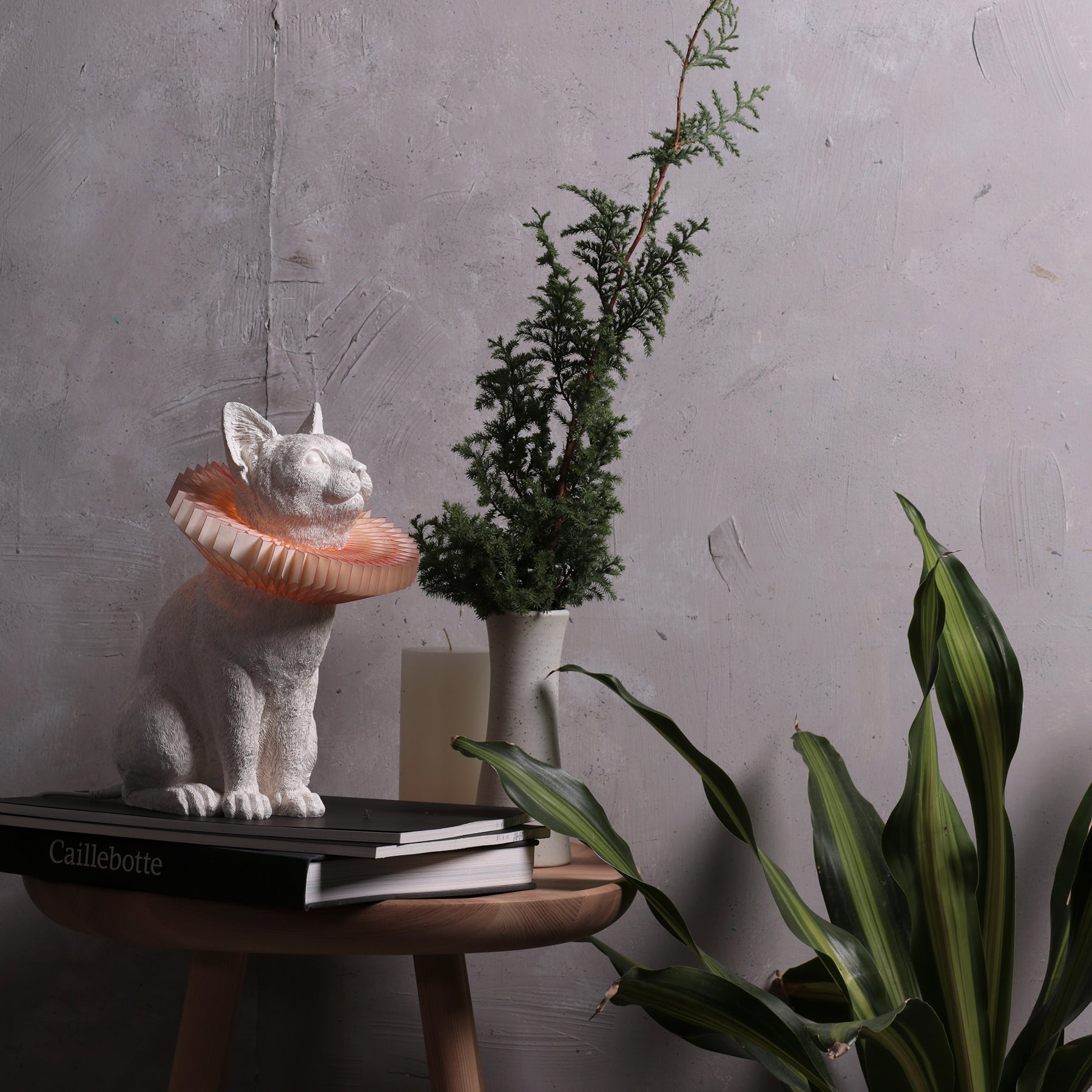 Cat Lamp for Night and Daydreams