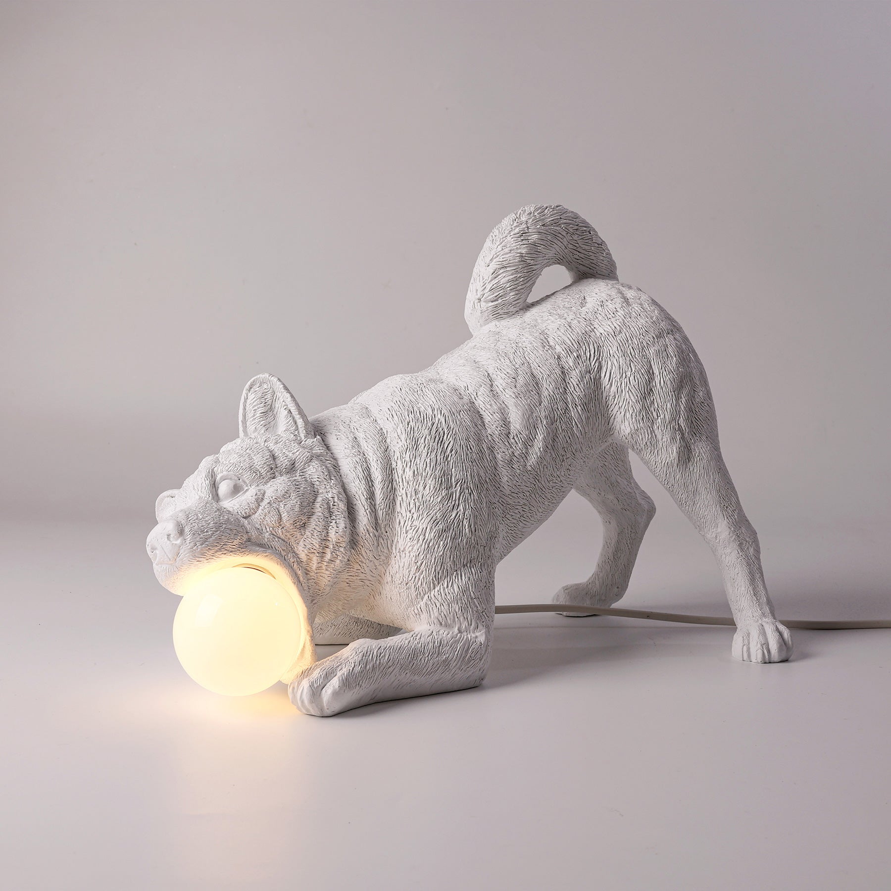 Dog lamp and it's statue: I need some play and you need some light!