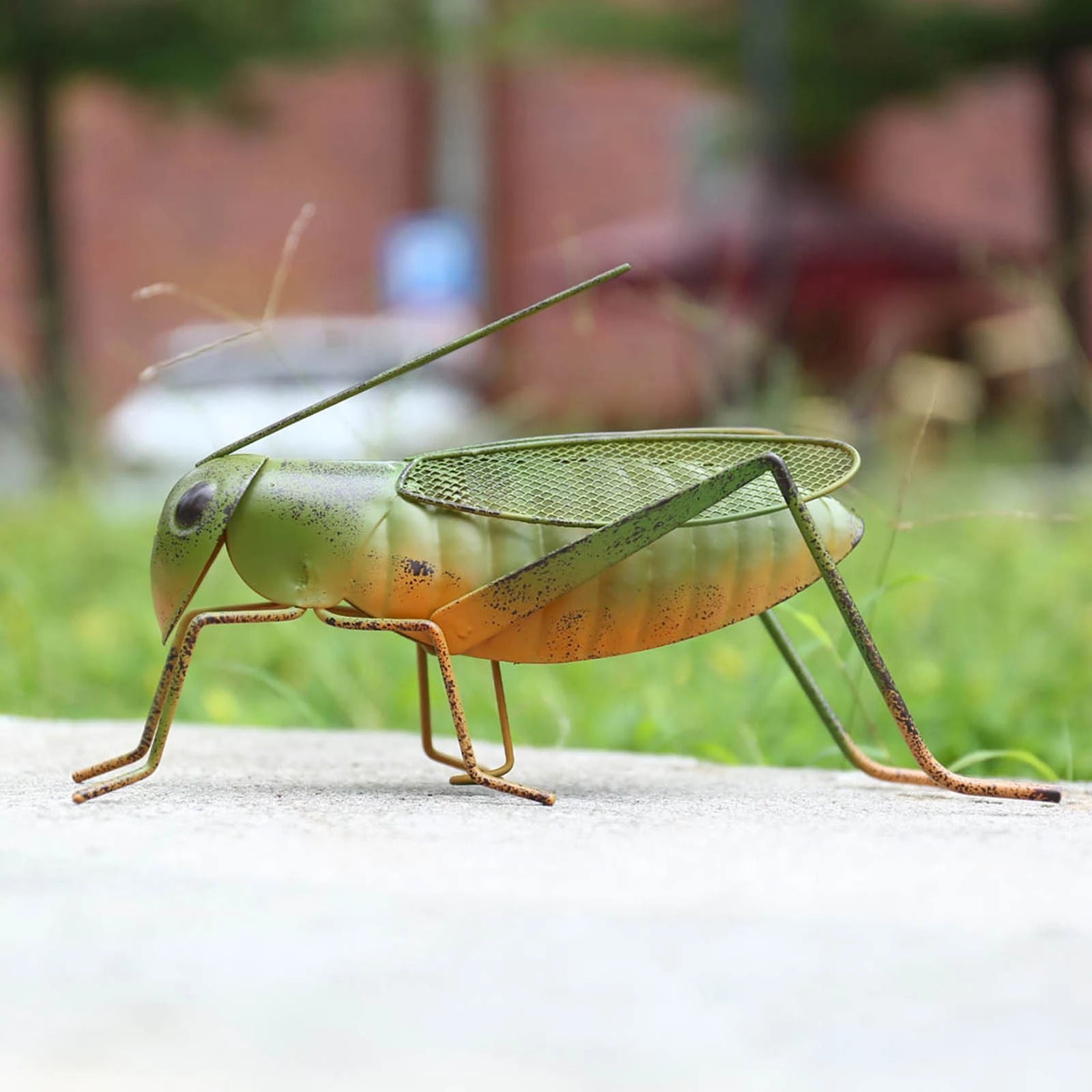 Grasshopper Figurines and Ornament in Home, Balcony, Garden