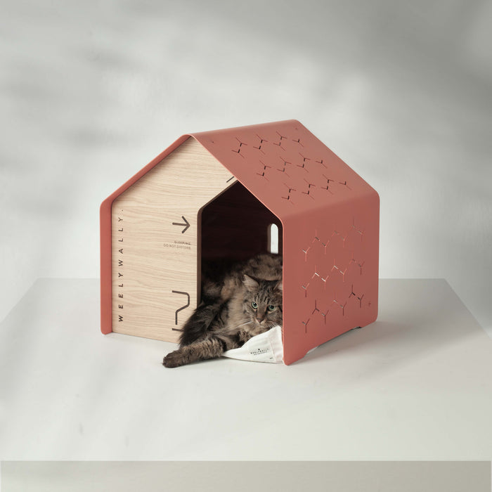 Modern cat house bed that will make your home look even more stylish