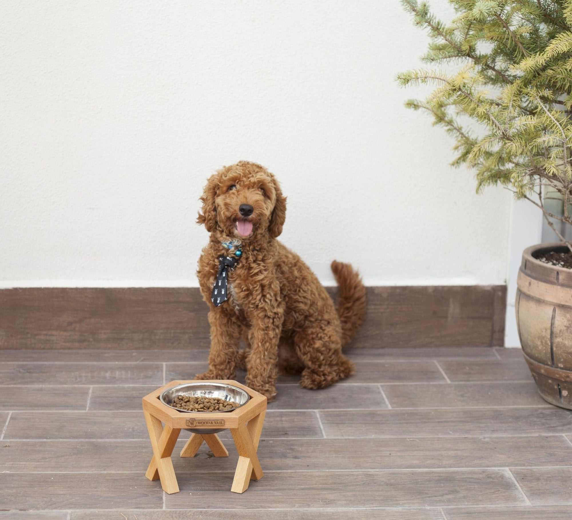 Single Elevated and Raised Wooden Dog Bowl Stand