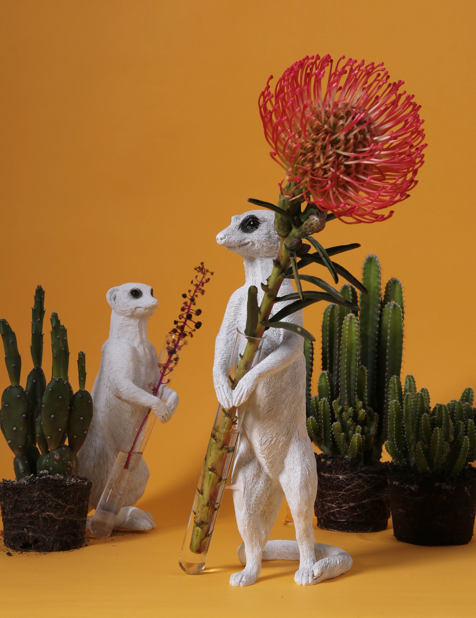Single Stem Vase with Meerkat Ornament and Decorative Statue