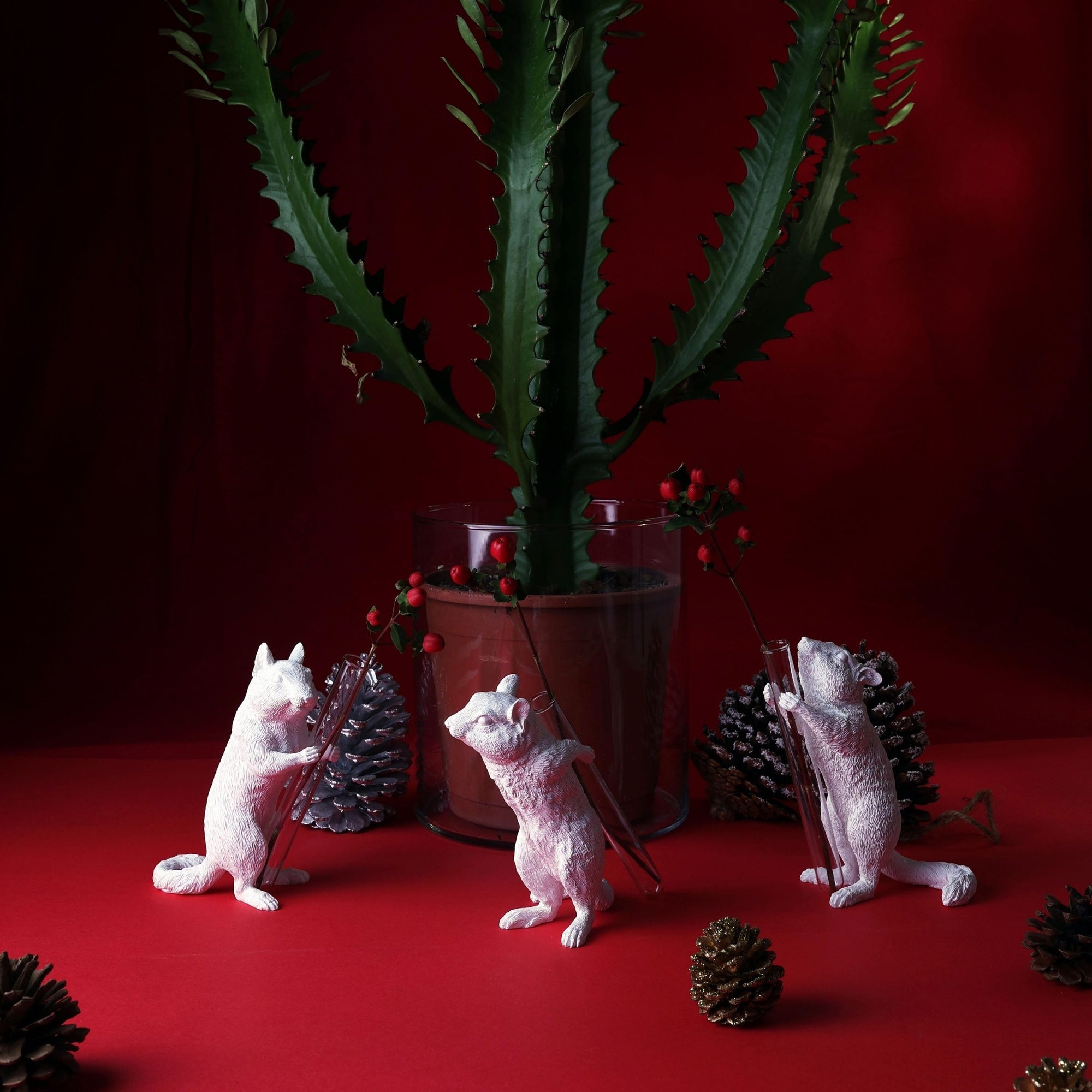 Squirrel Christmas brings you the best of decor and ornaments