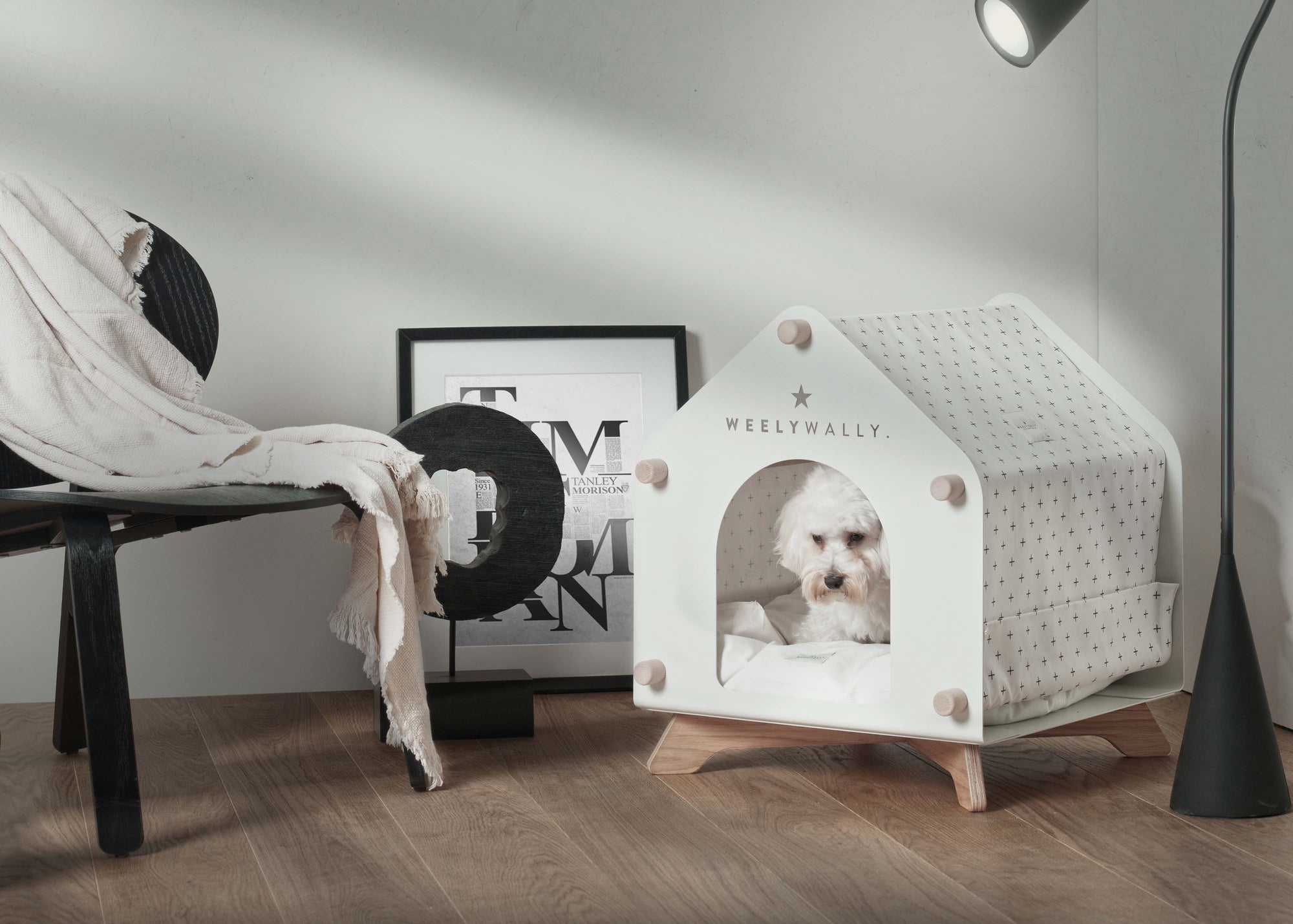 Every pet deserves the best - house & bed for your cat's or dog's!