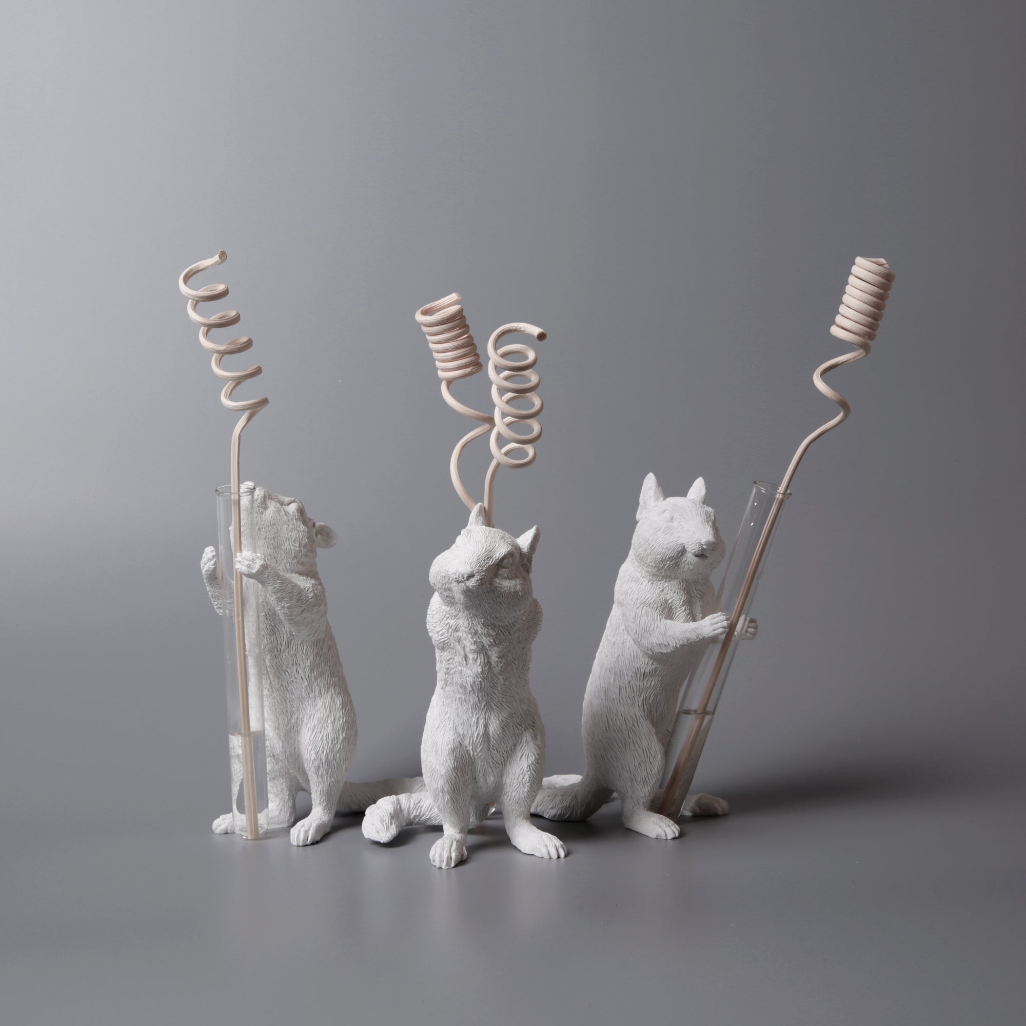 White Vase Series to Flowers and Diffuser Reeds with Squirrel Statue