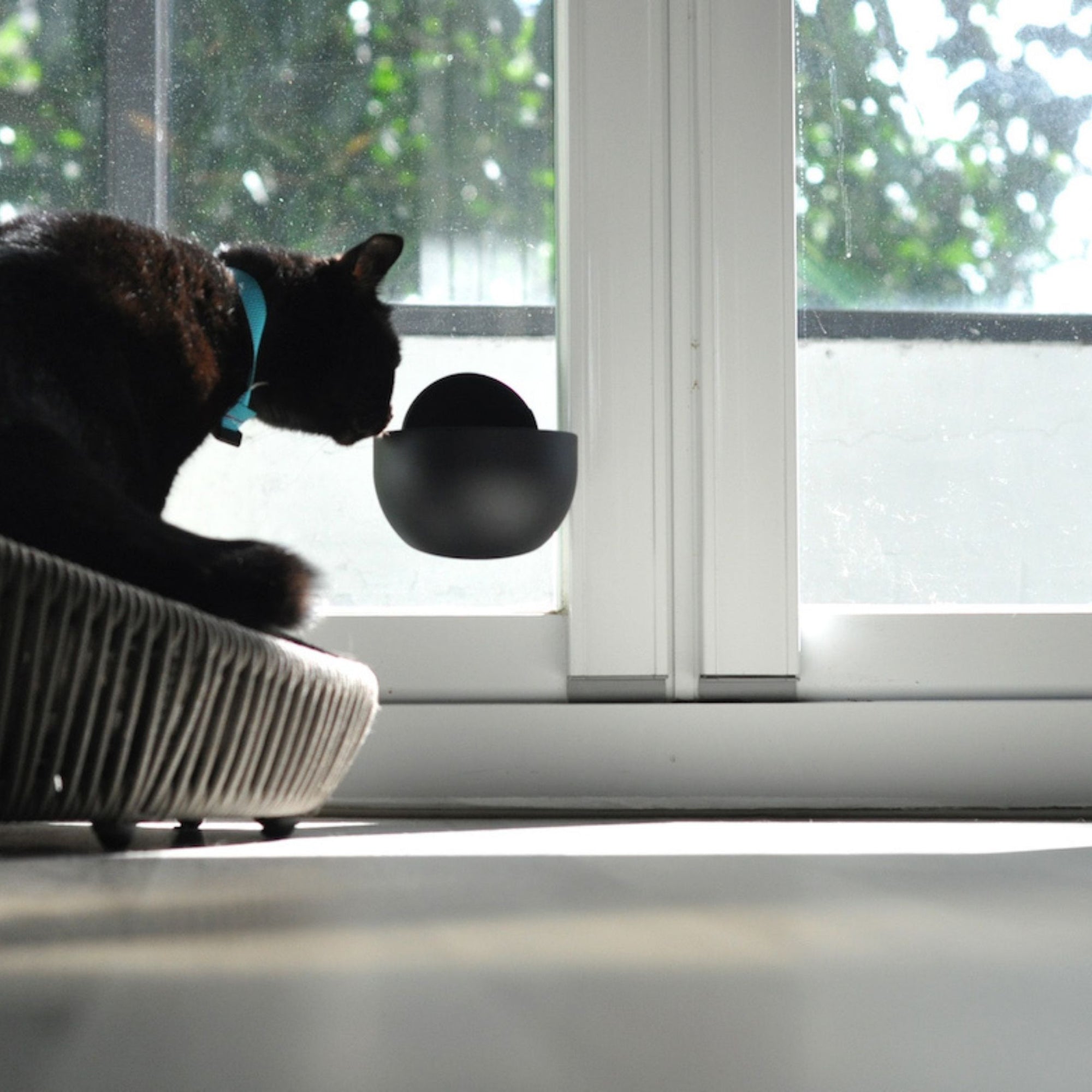 Your dog or cat will love the self-magnetic portable mobile pet bowl!
