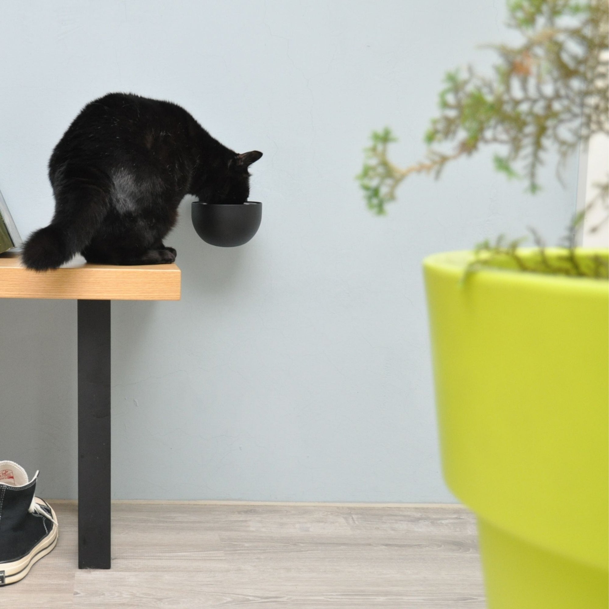 Your dog or cat will love the self-magnetic portable mobile pet bowl!