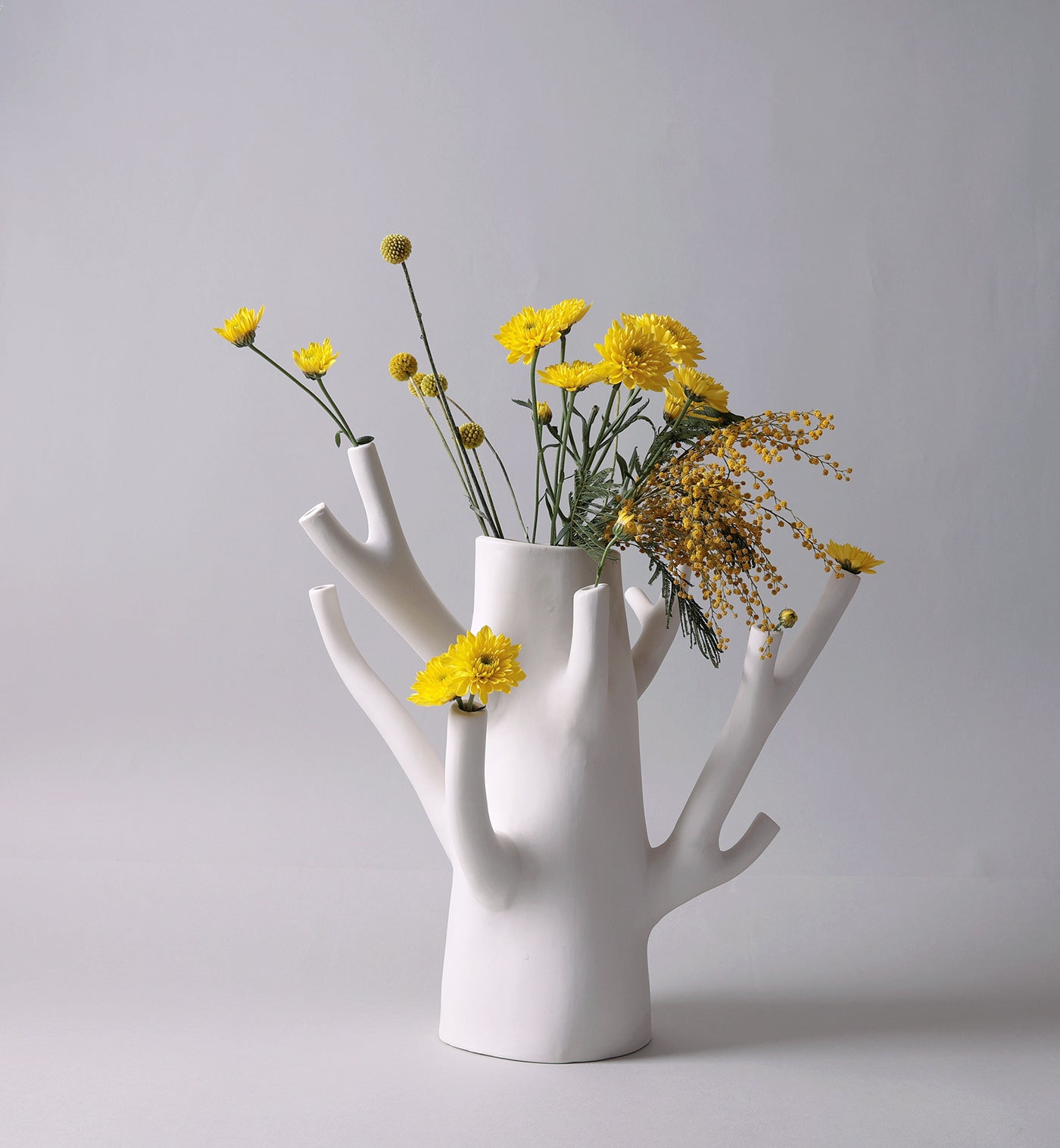 Ceramic vase welcomes unique flower arrangements like as florist