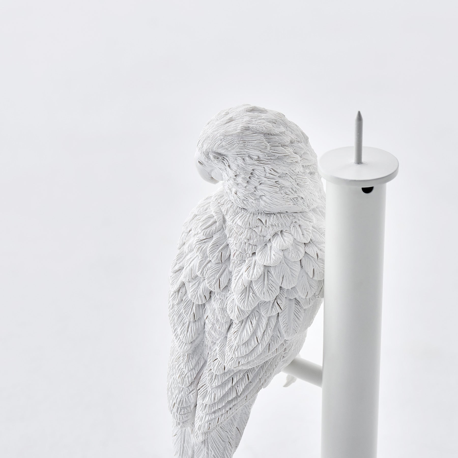 Get cozy with our parrot single candleholder in day and night